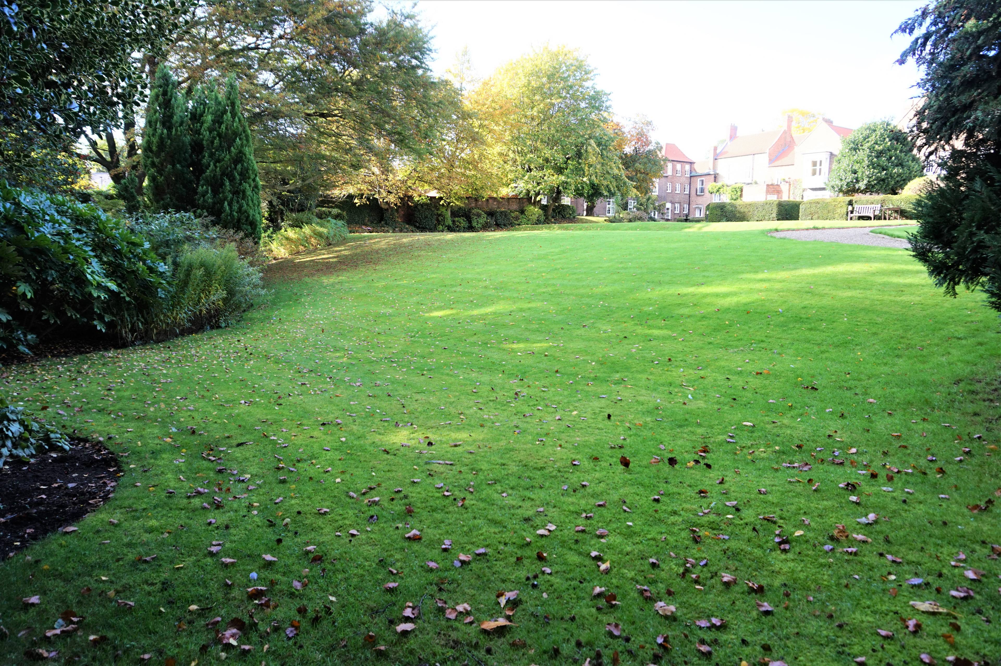 Grounds