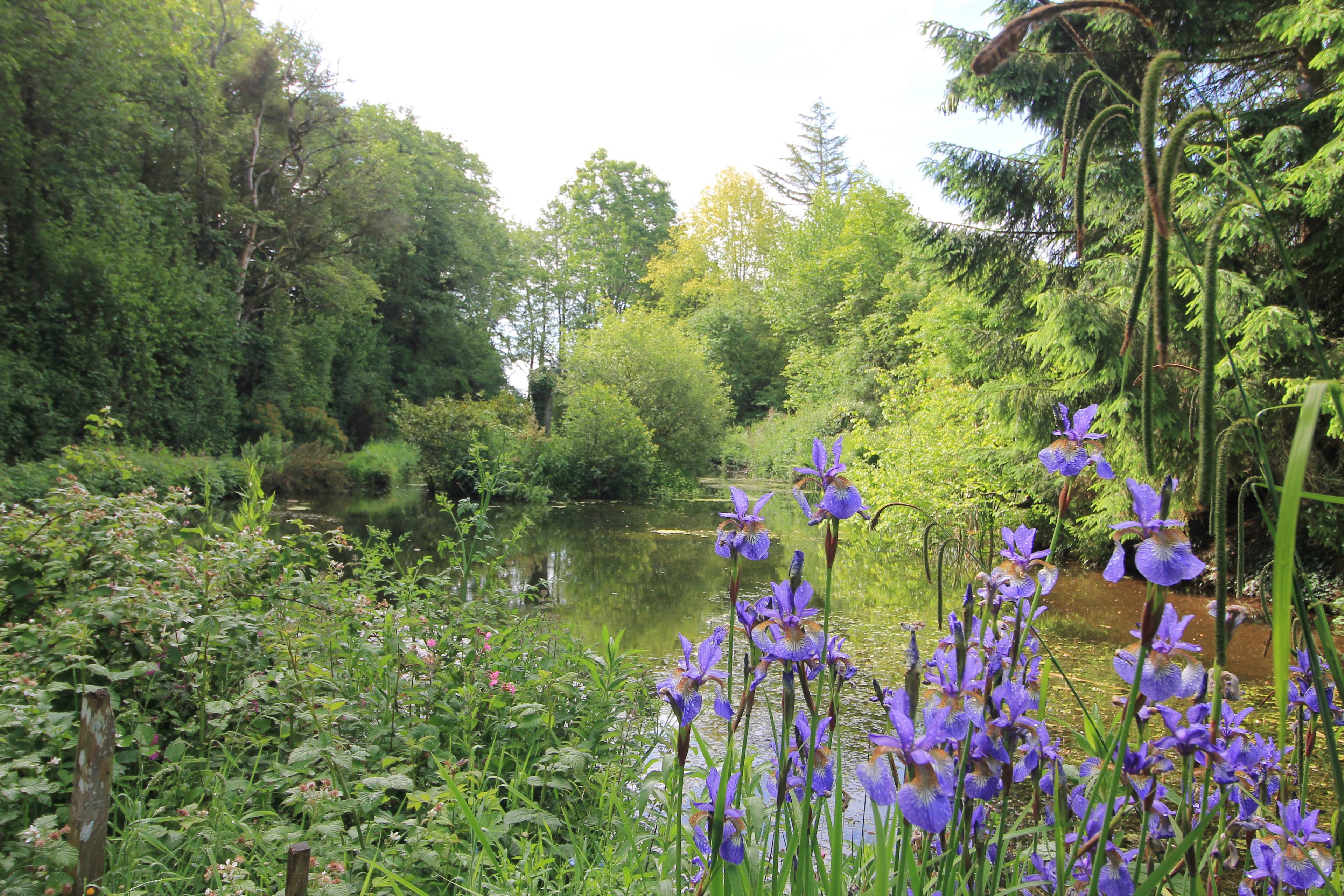 Pond