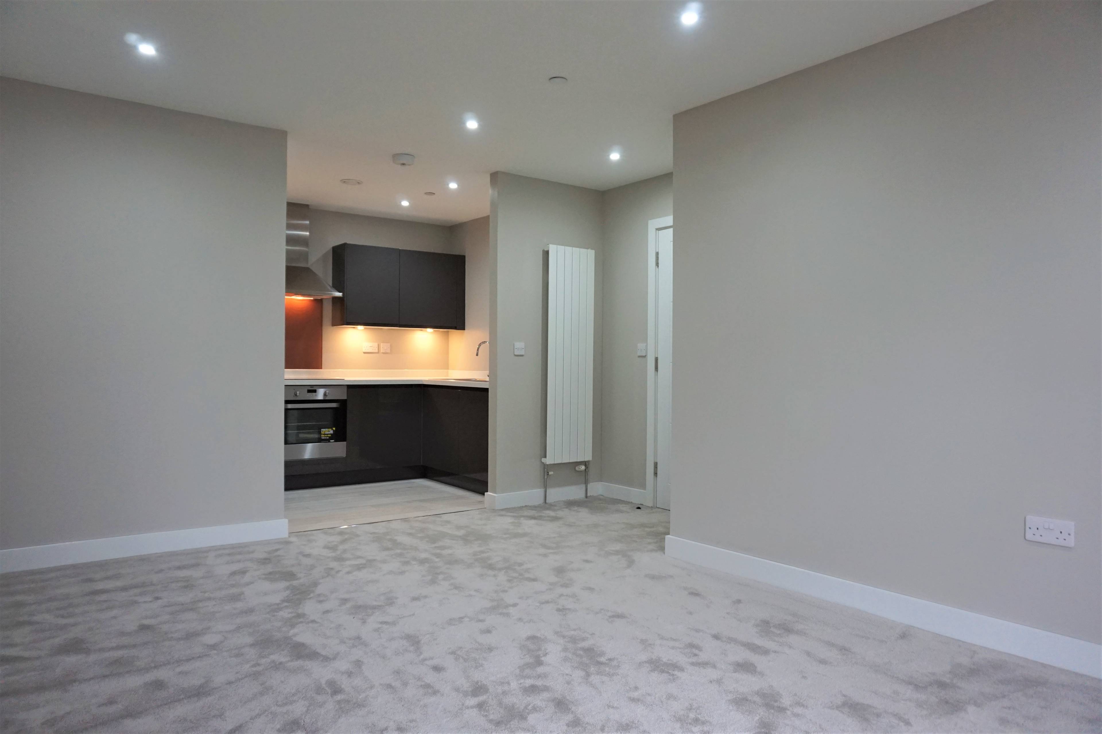Lounge / Kitchen