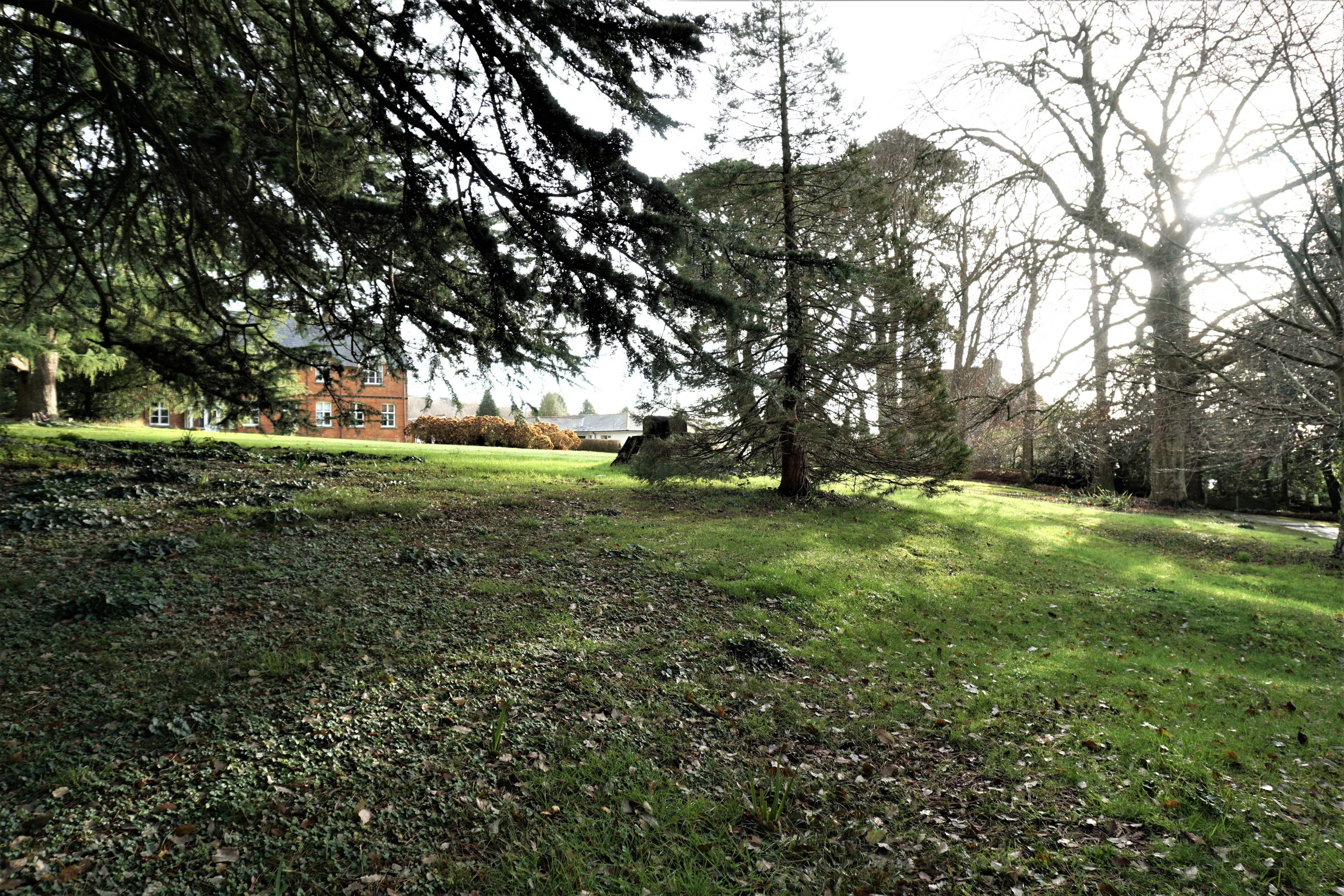 Grounds