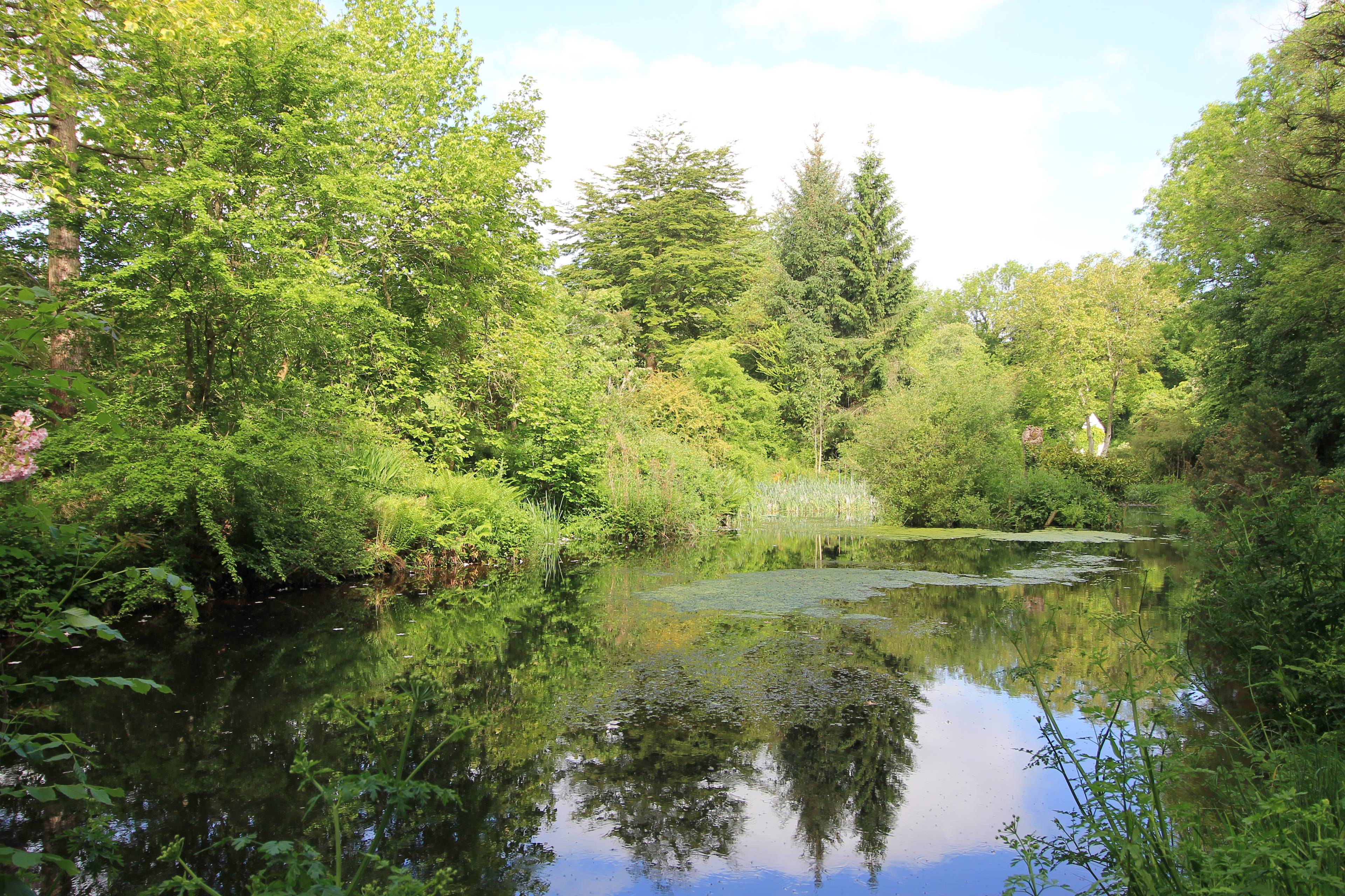 Pond
