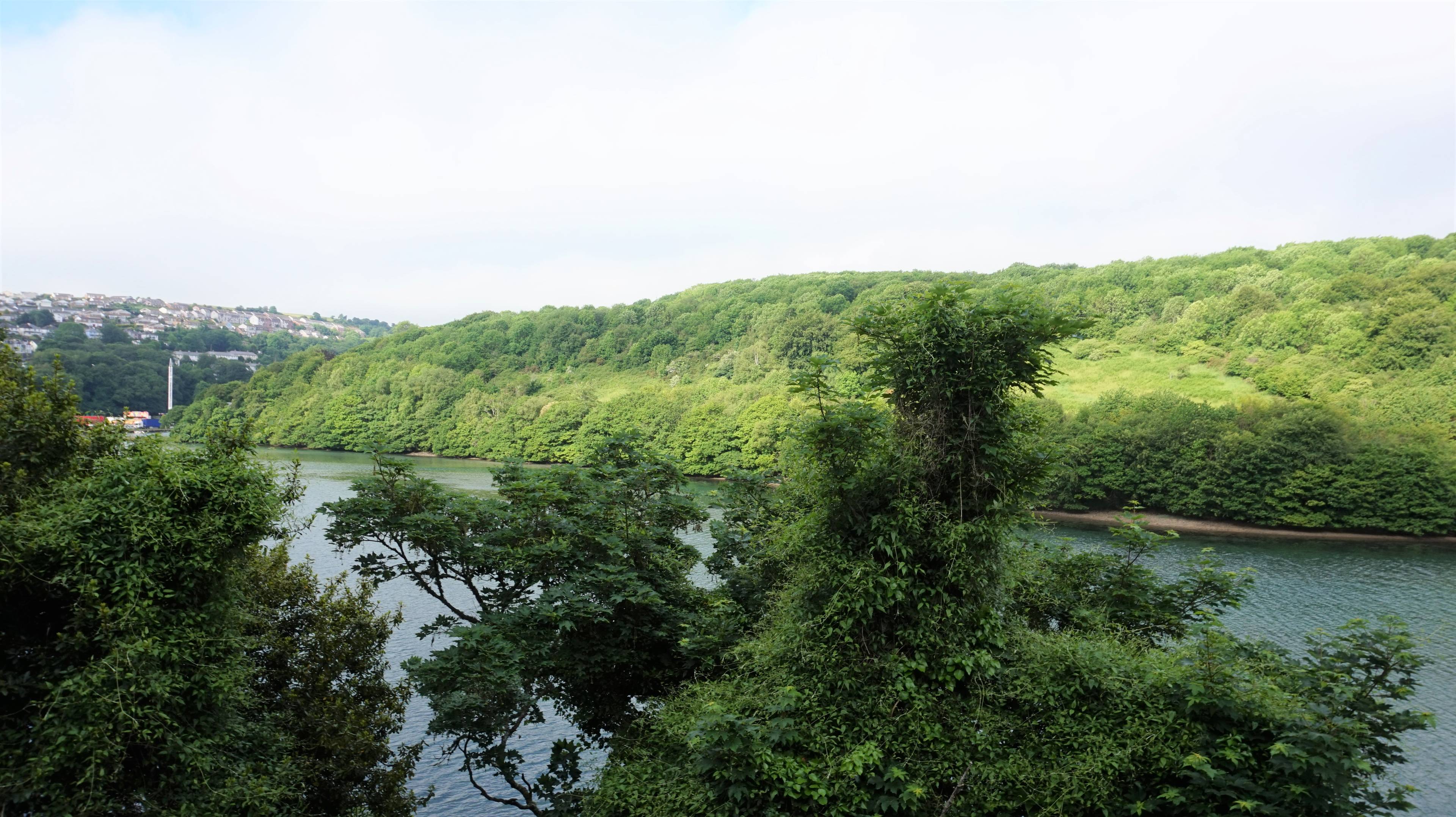 View