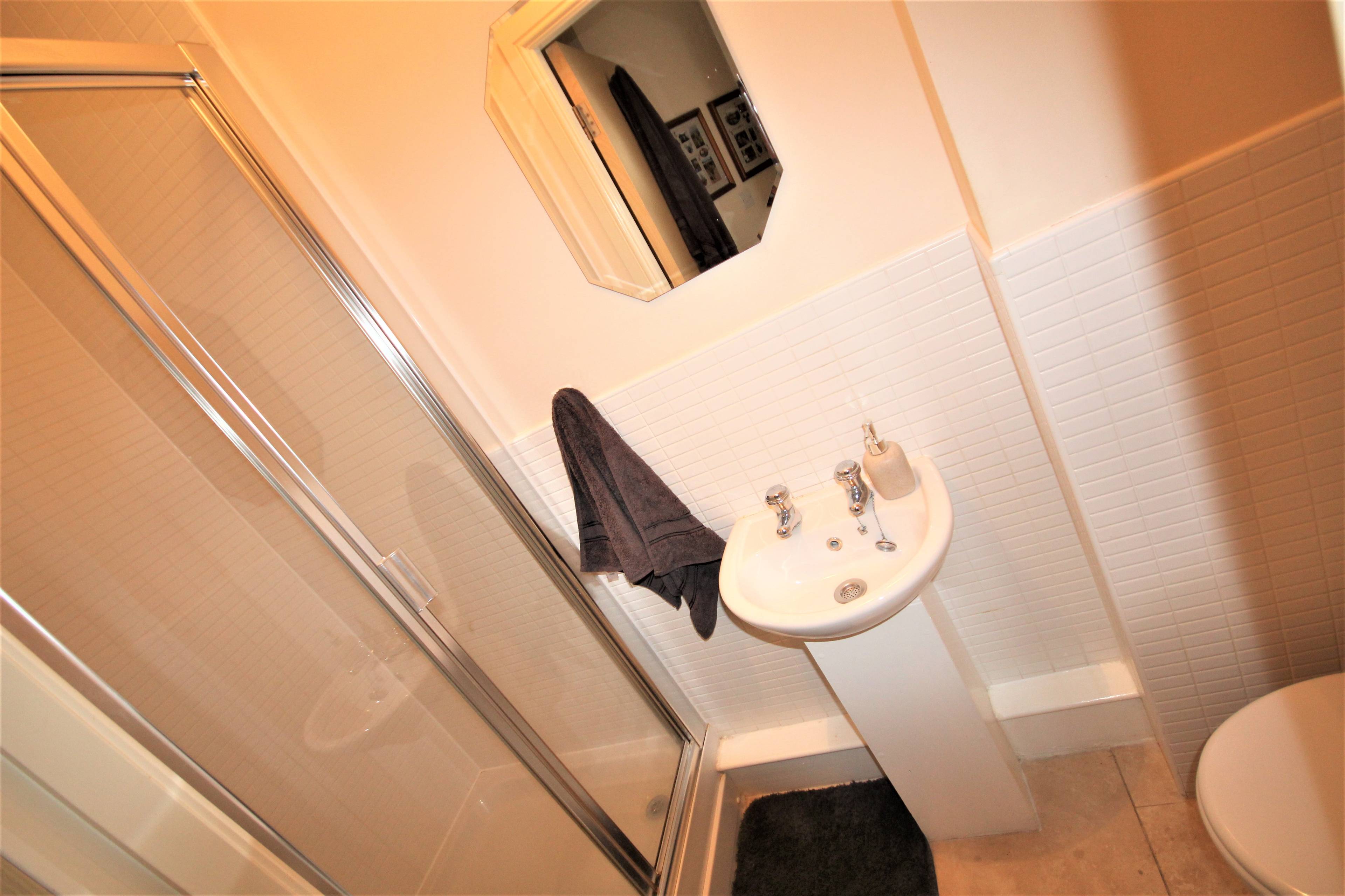 Downstairs Shower