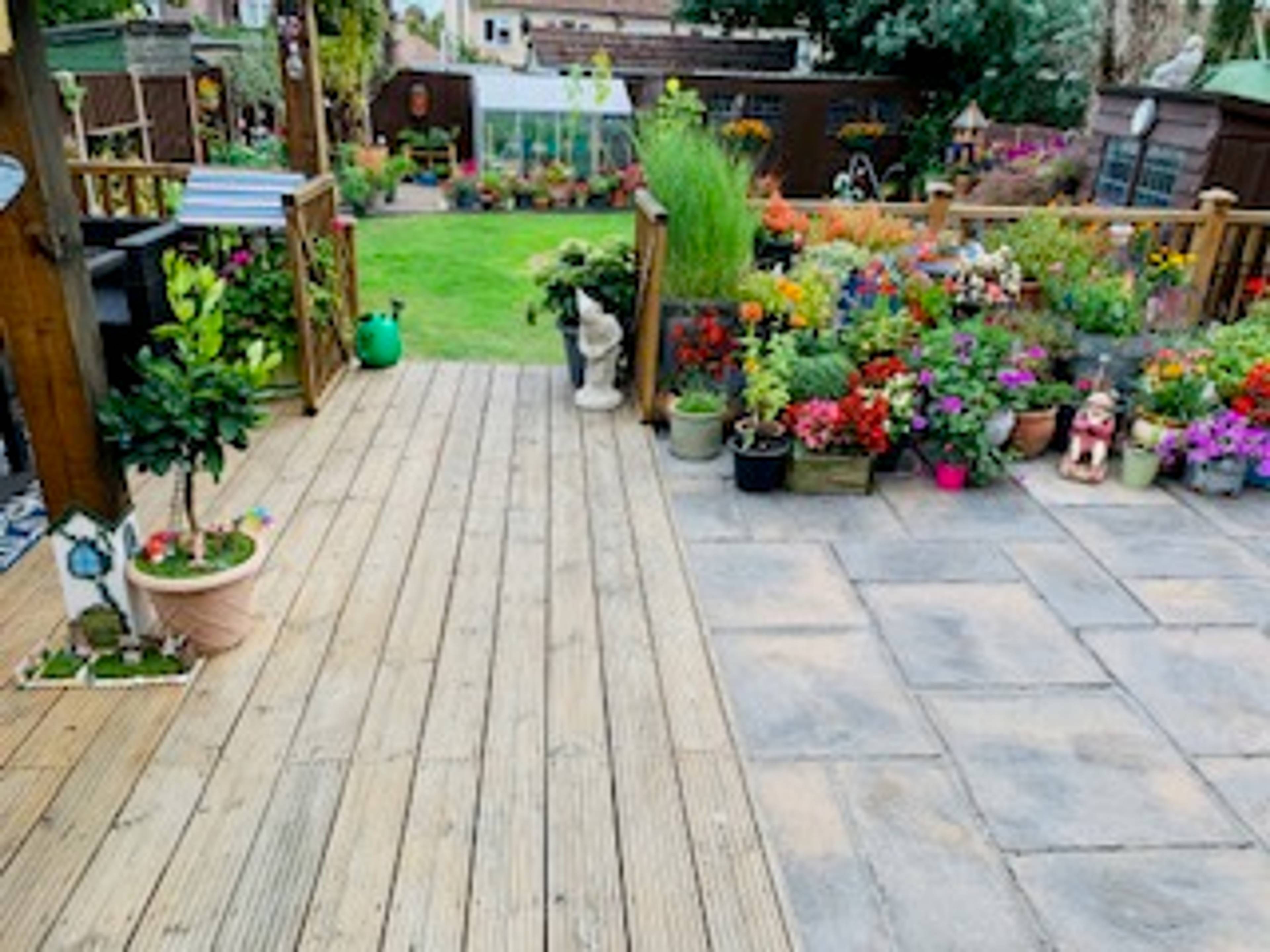 Garden