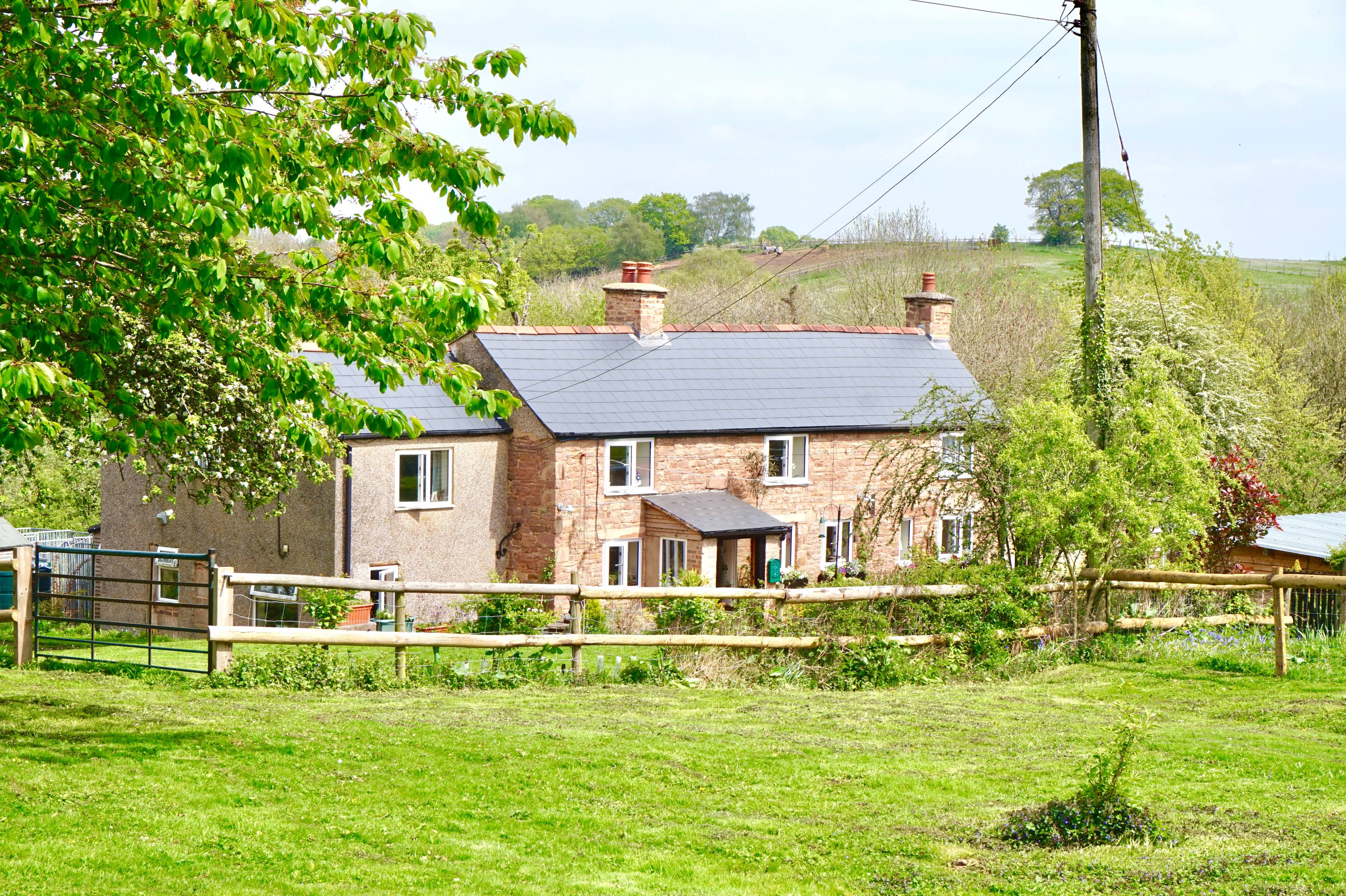 View Of The Property