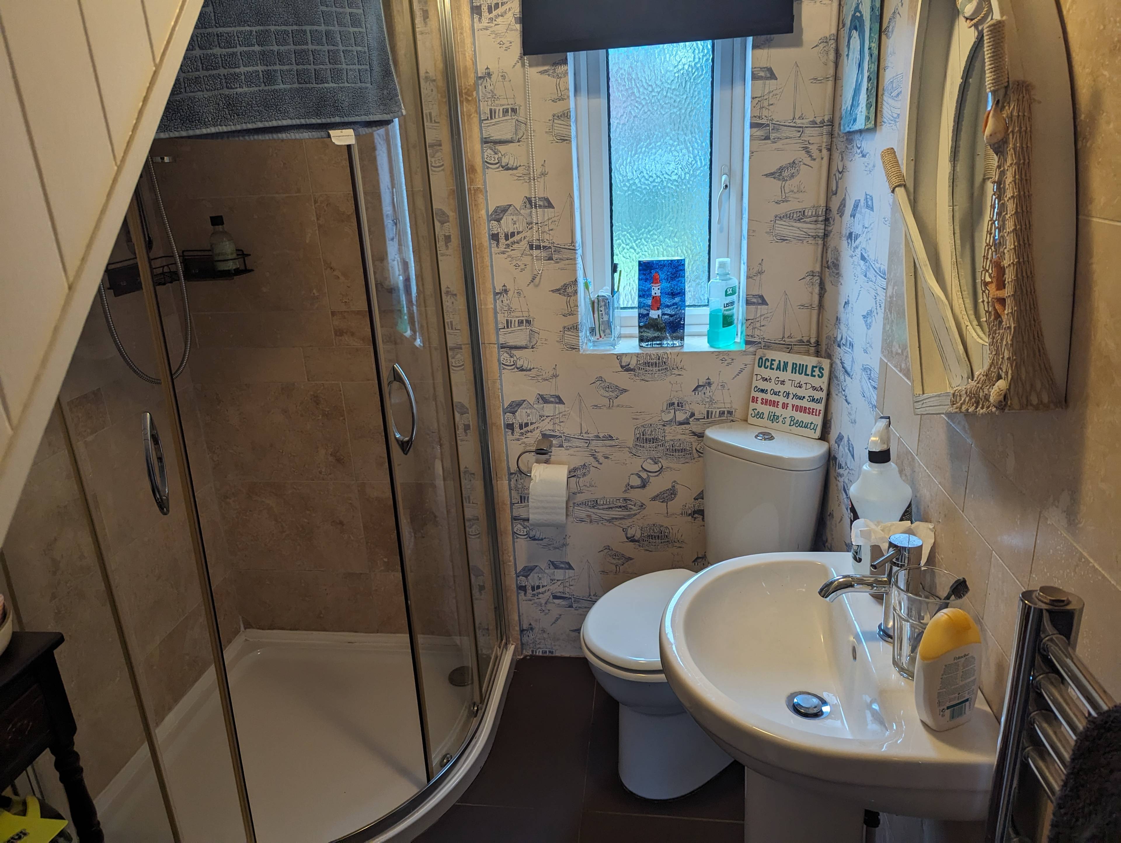 Downstairs Shower