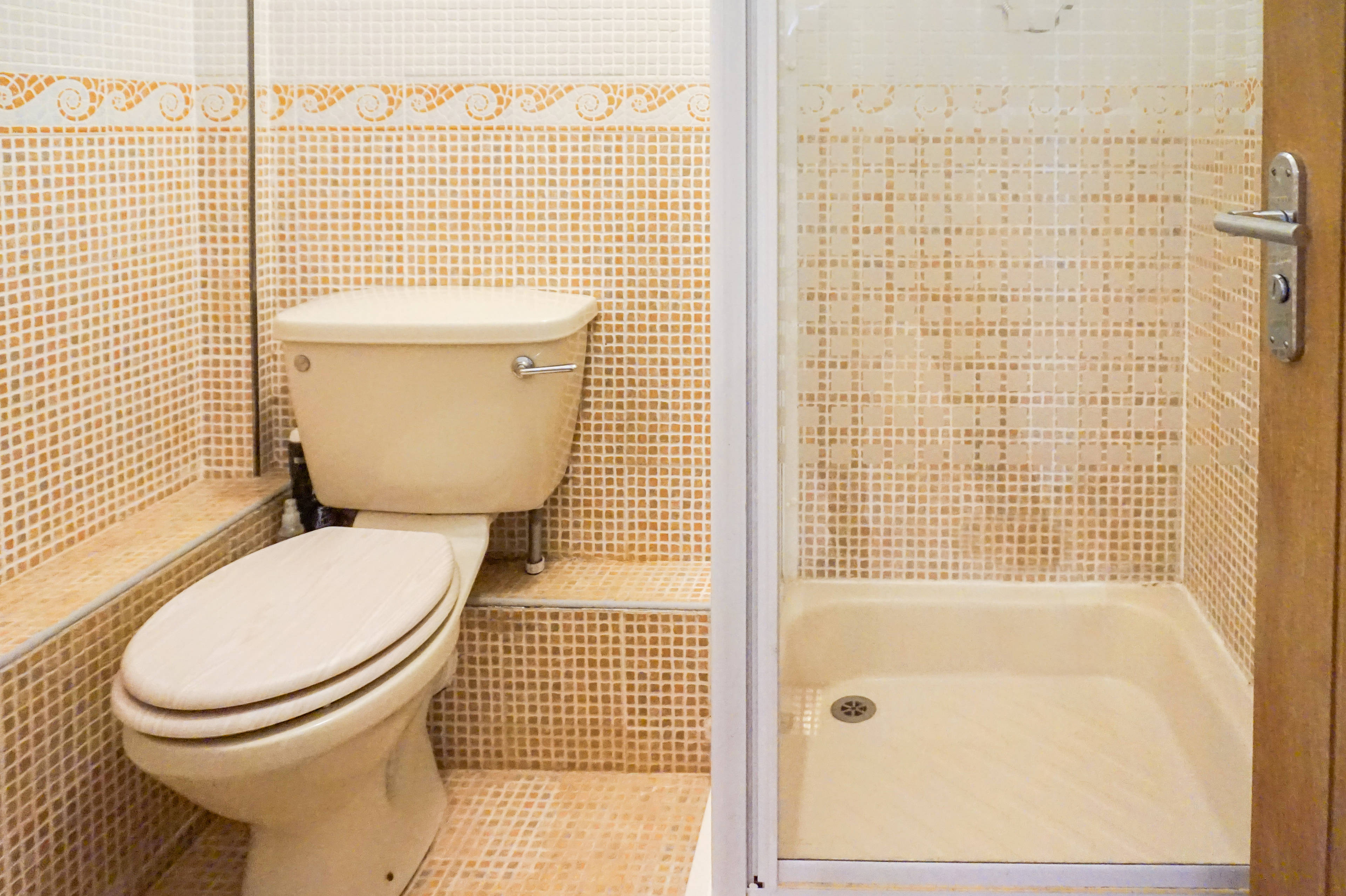 Downstairs Shower