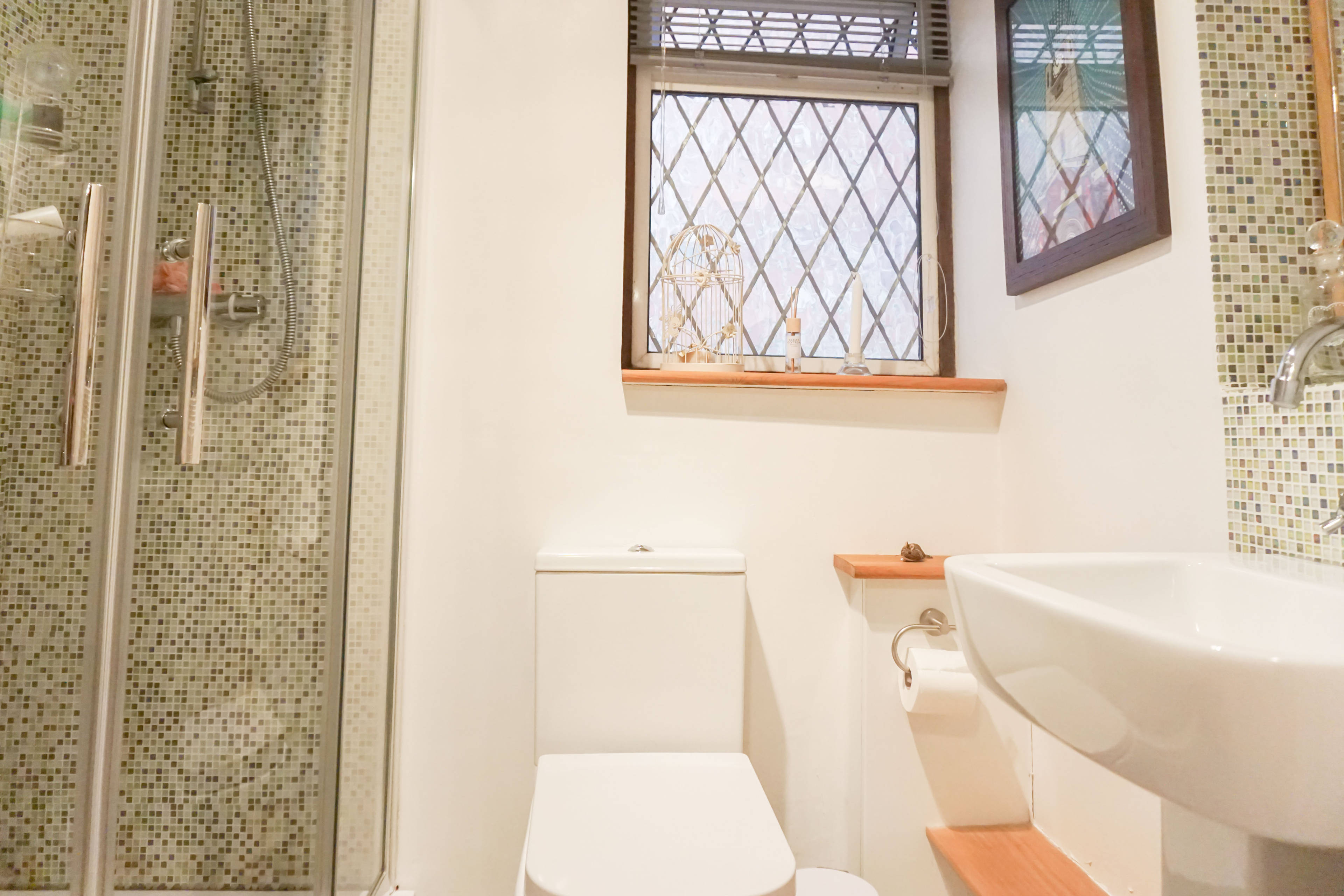 Downstairs Shower