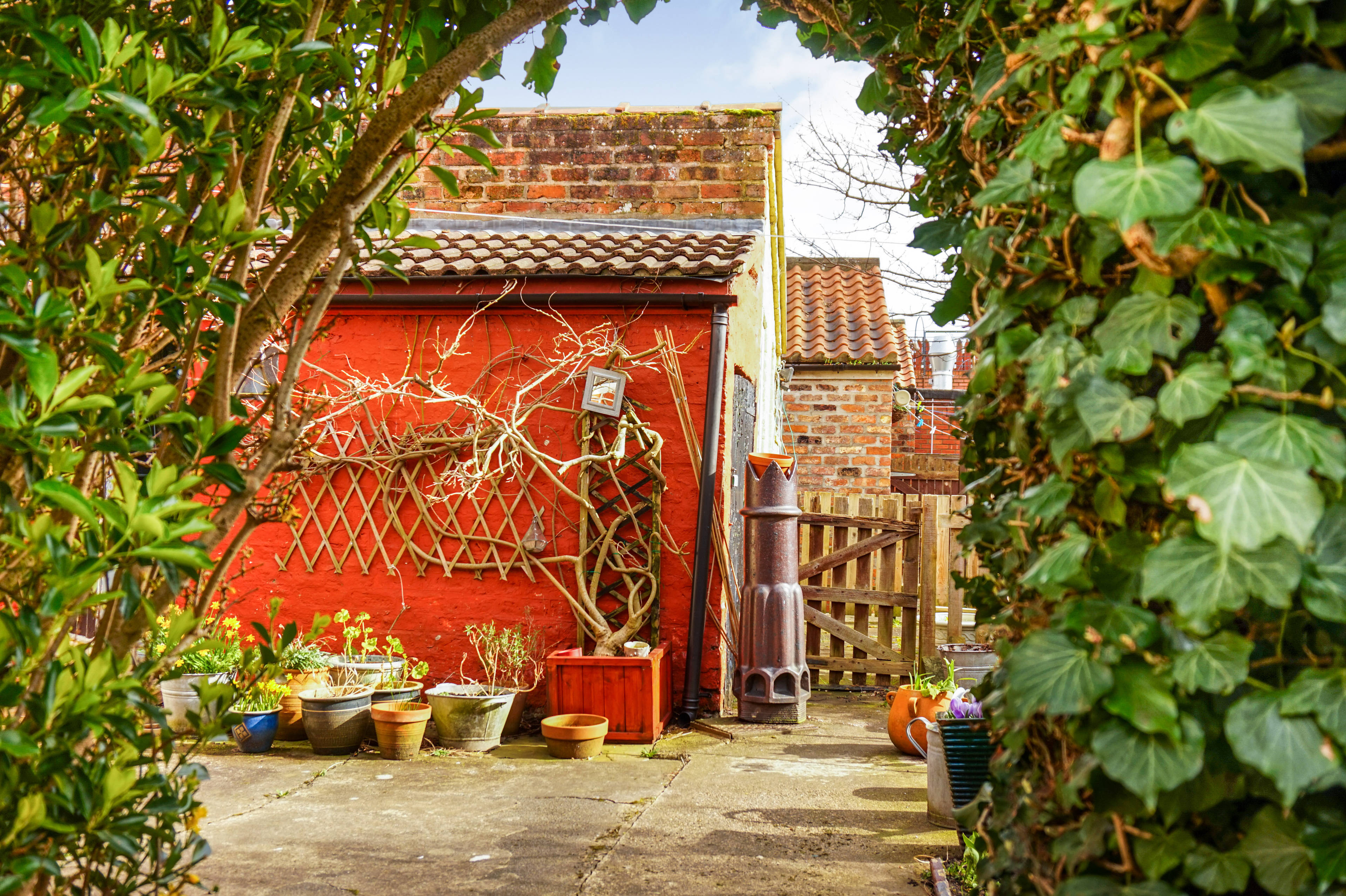 Garden