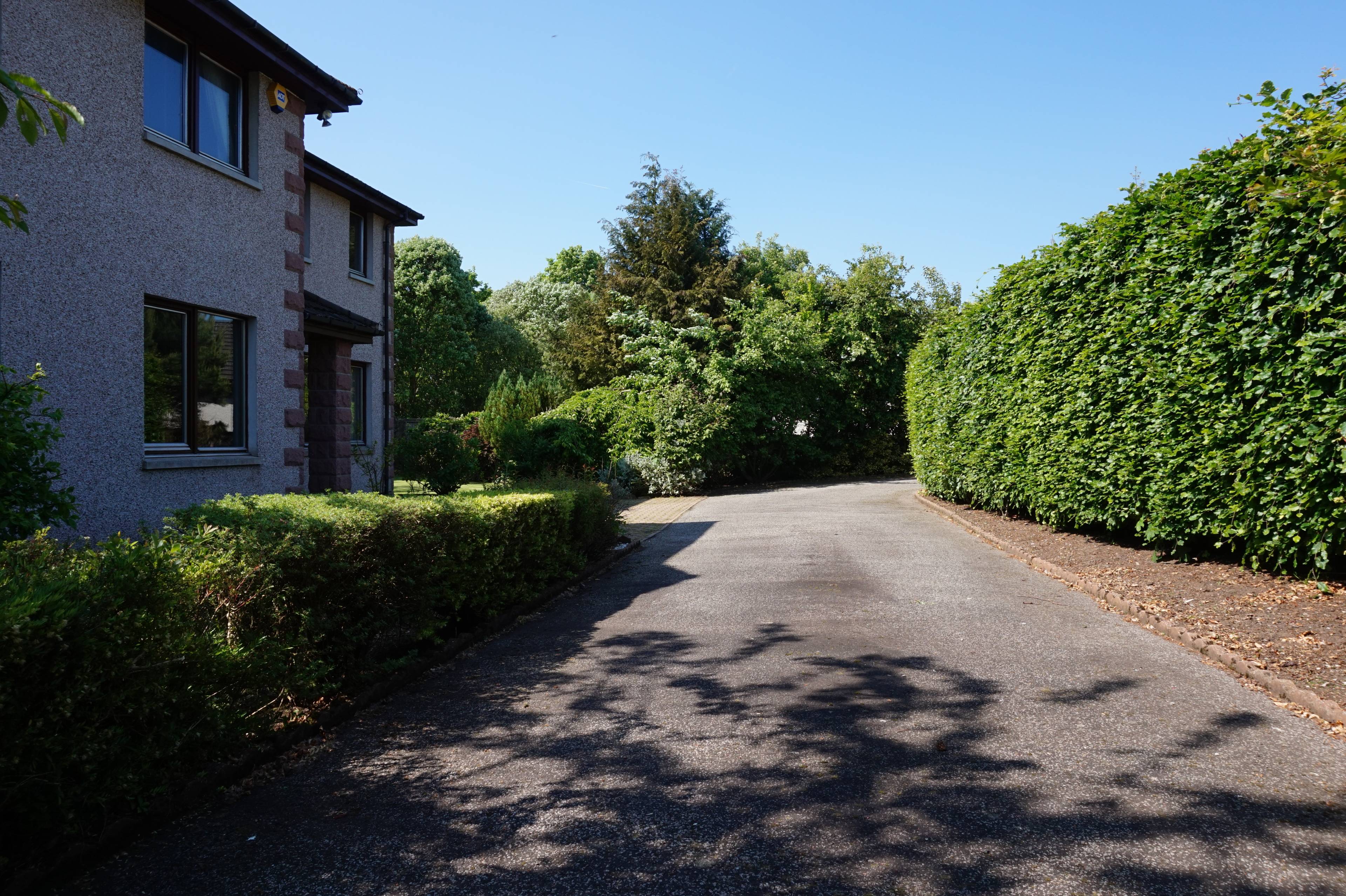Driveway