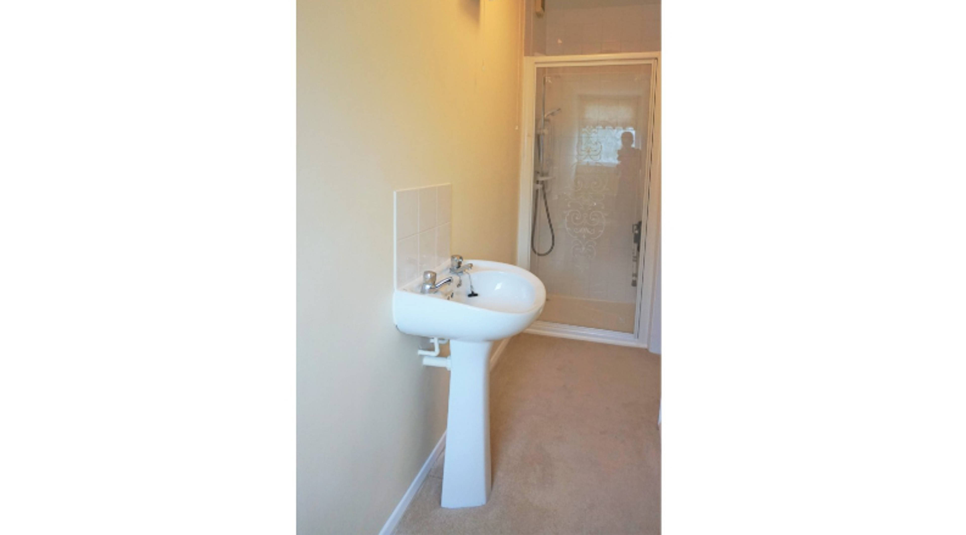 Downstairs Shower