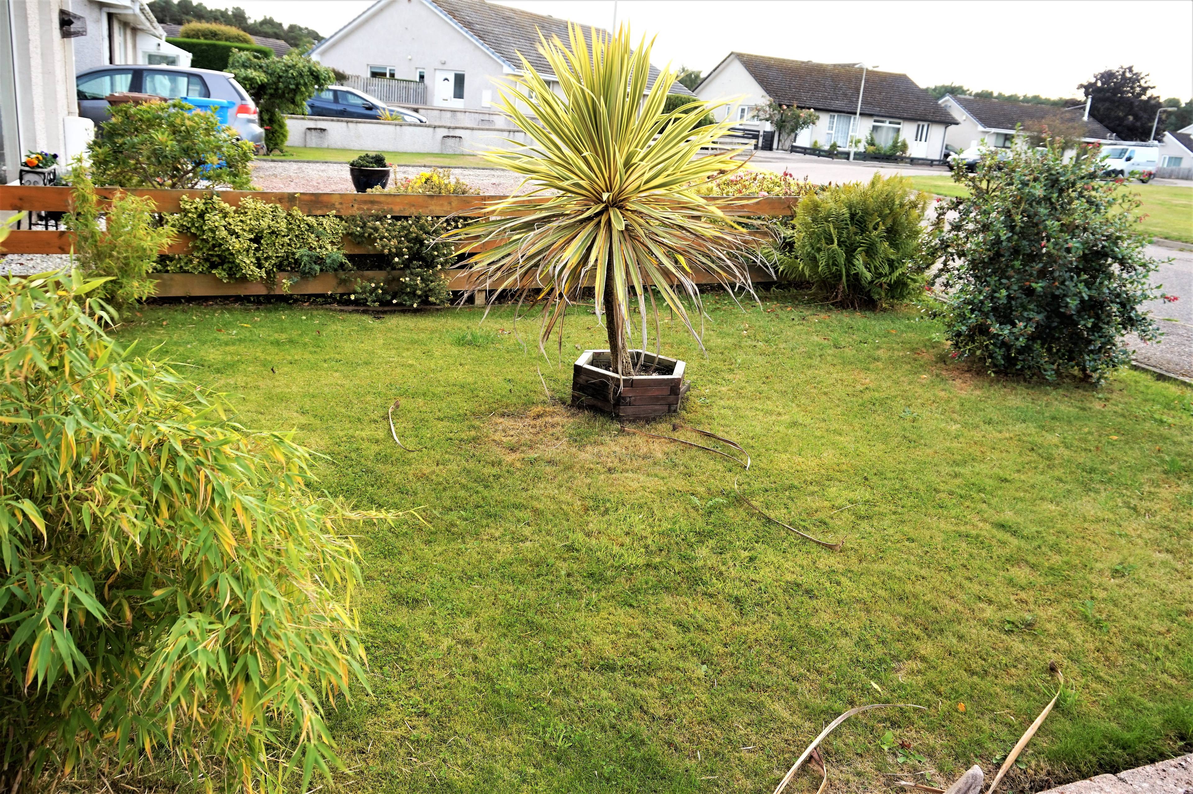 Front Garden