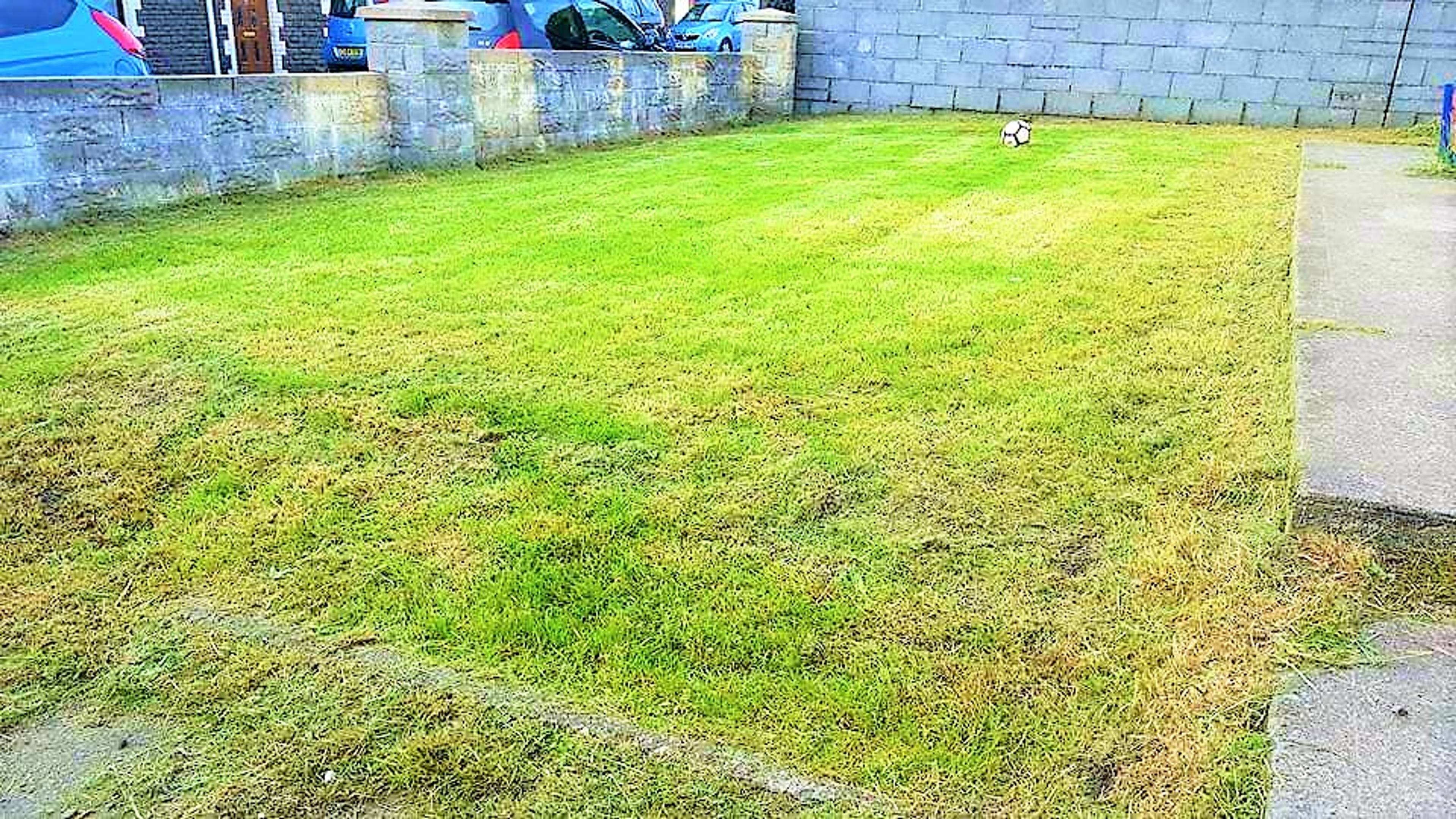 Front Garden