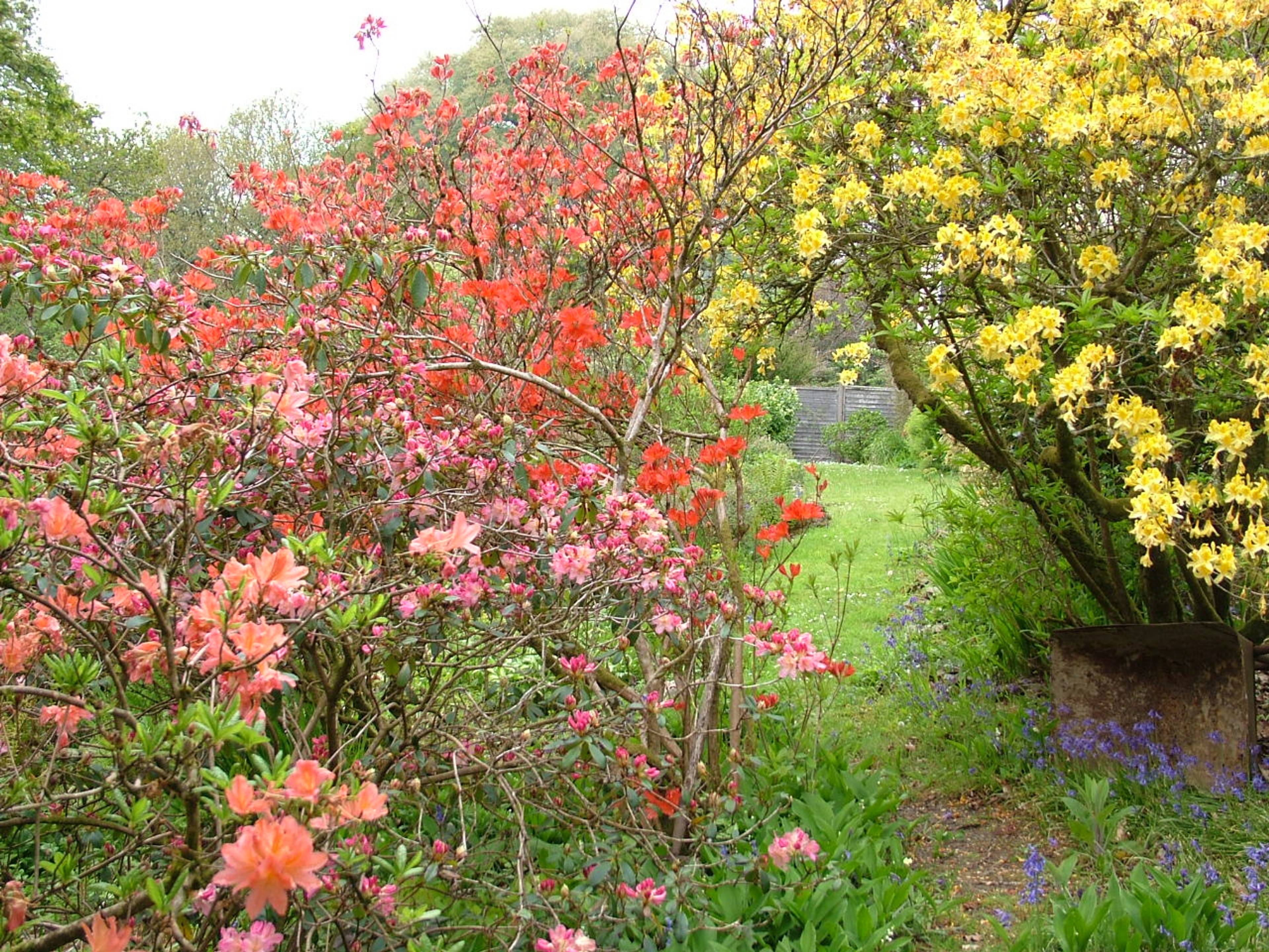 Gardens 