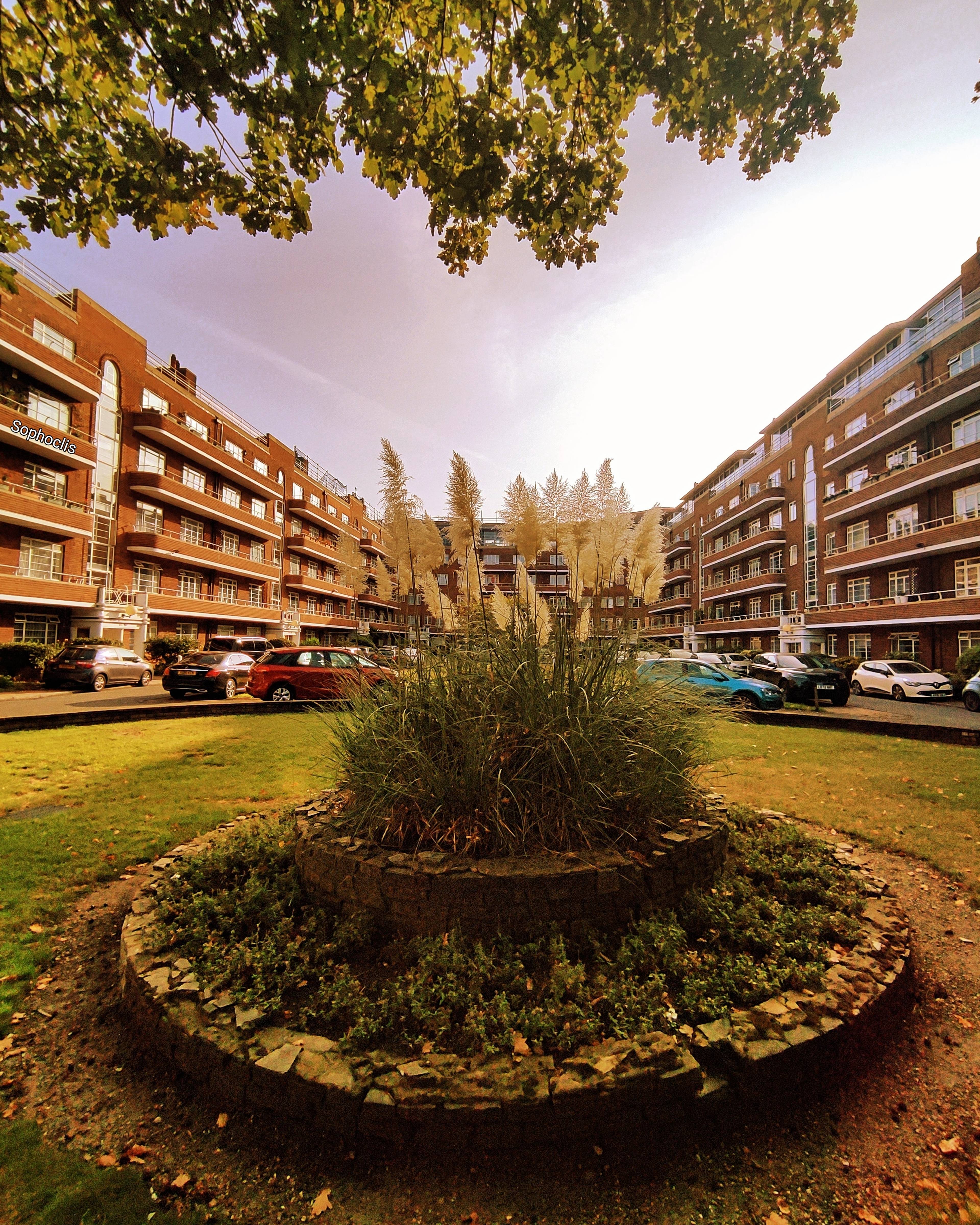 Communal Gardens
