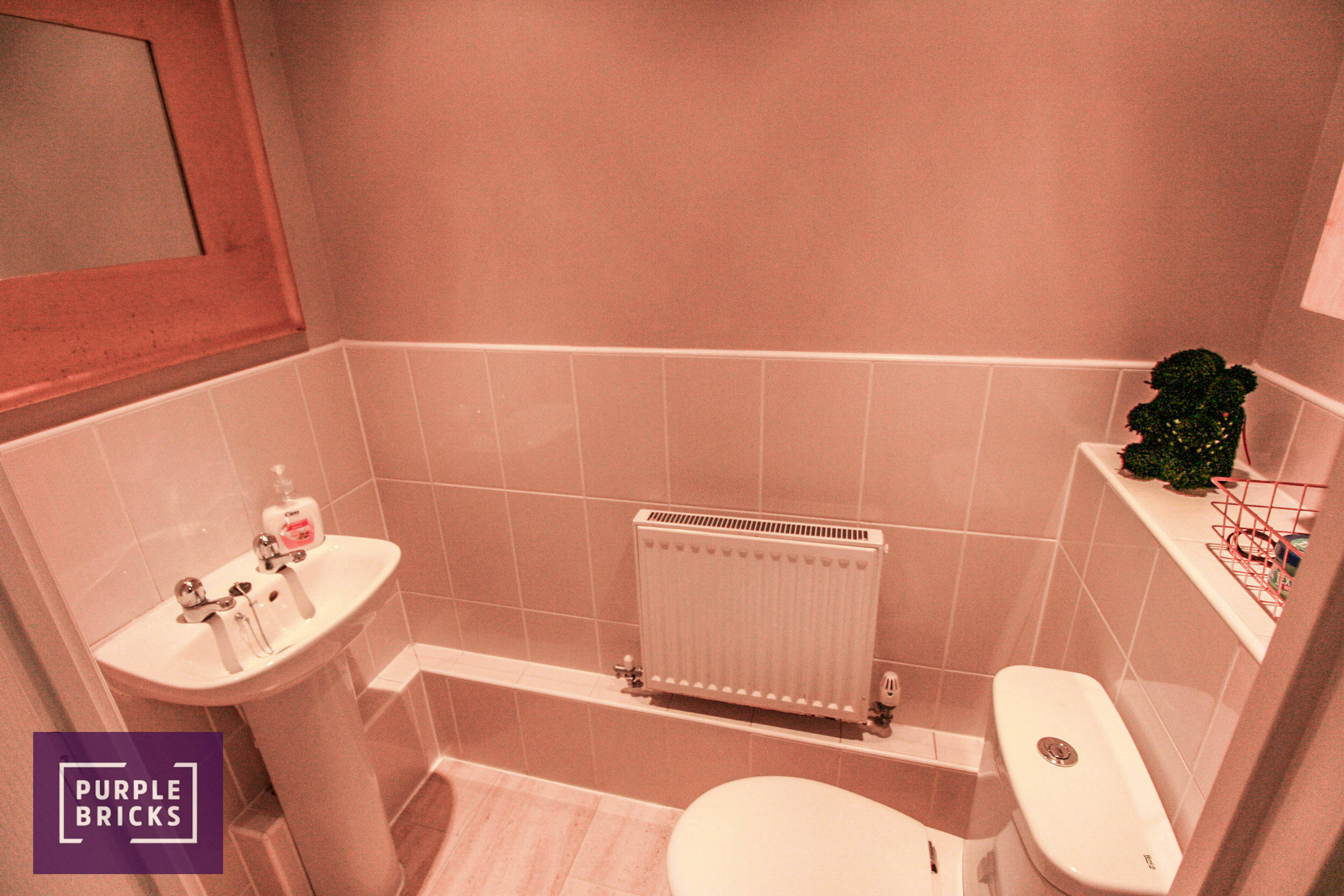 Downstairs Cloakroom