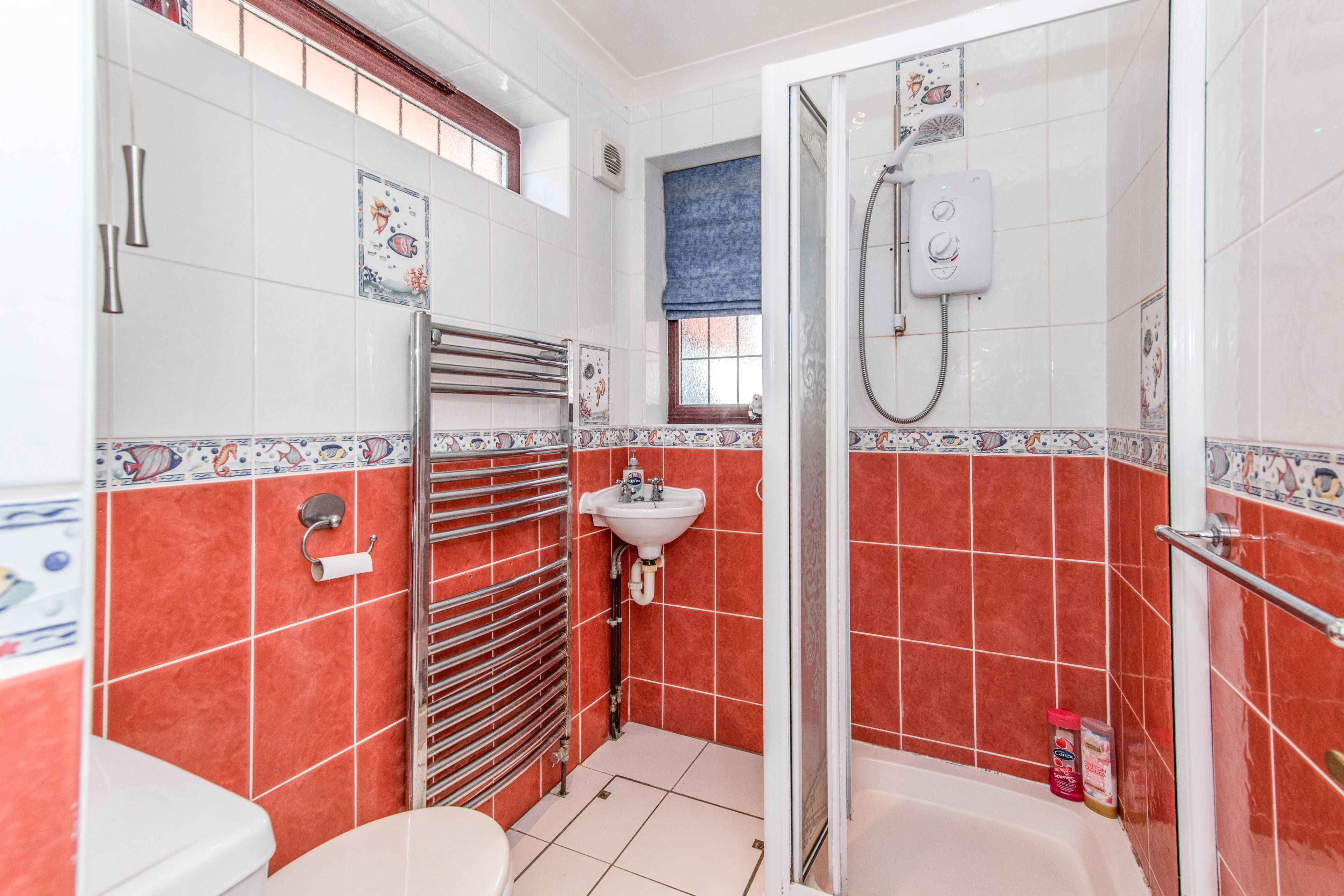 Downstairs Shower