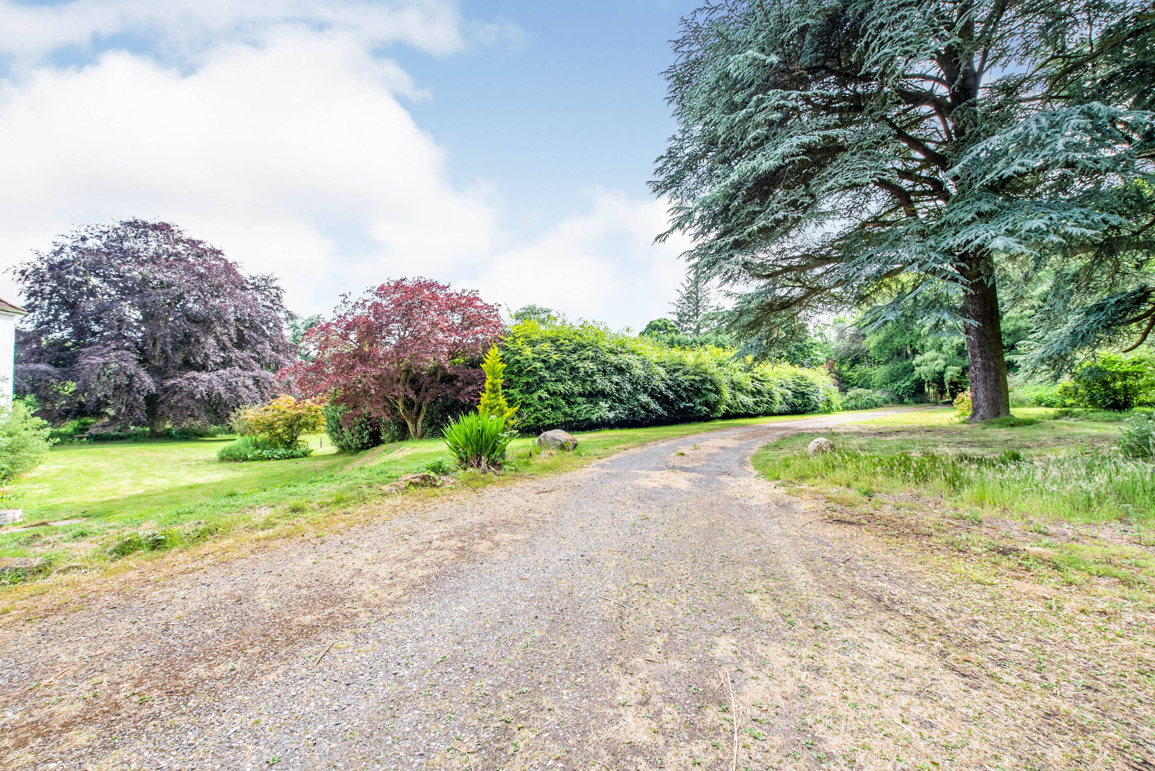 Driveway