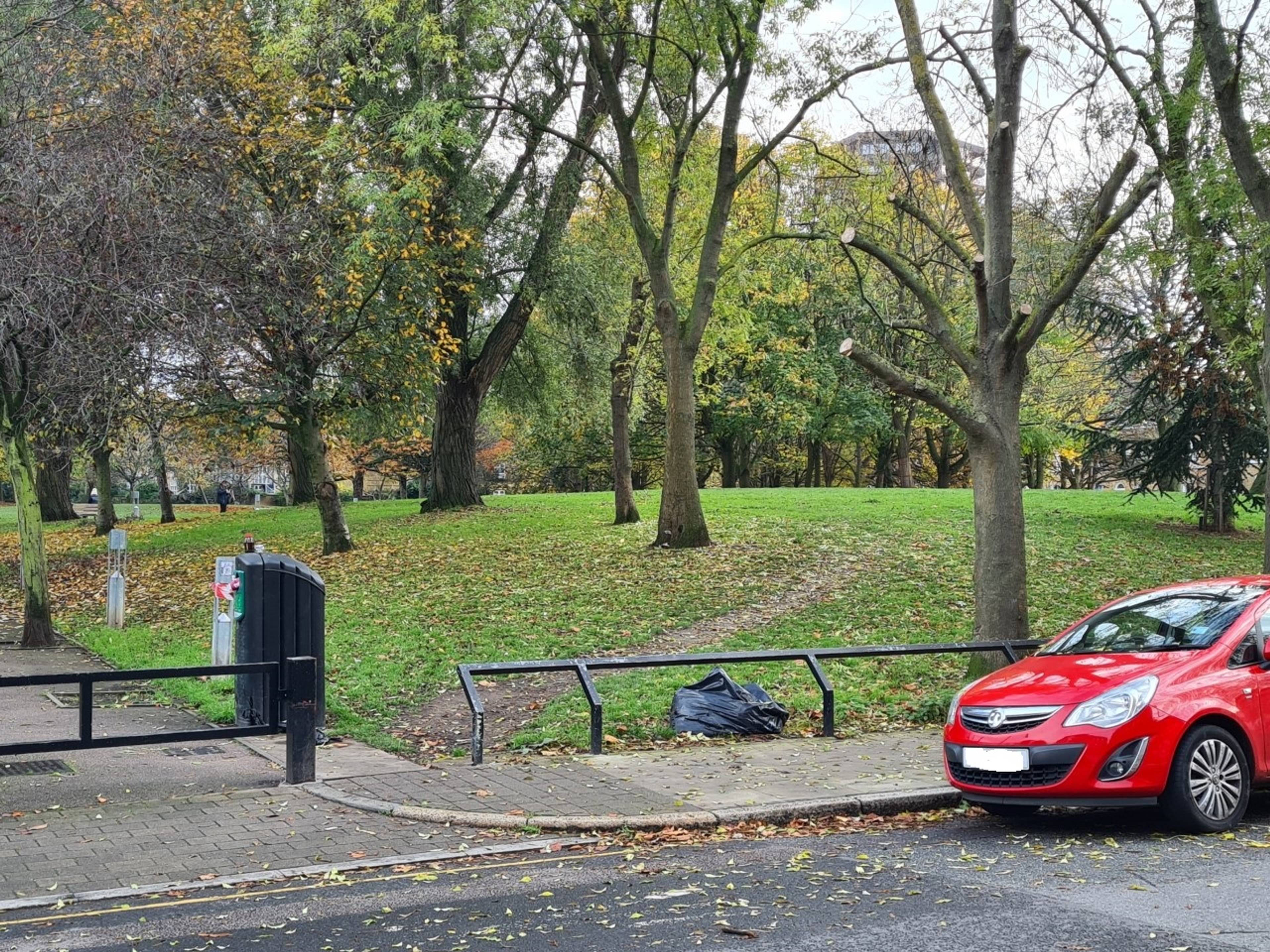 The Park