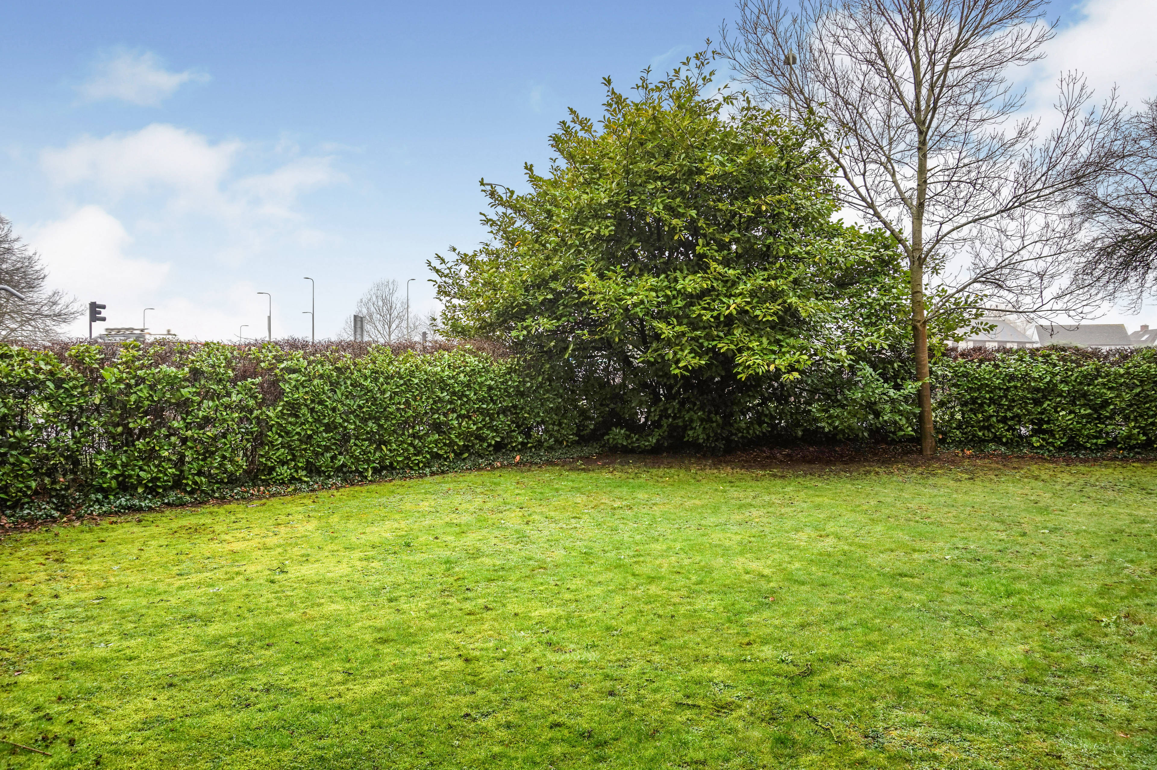 Communal Gardens