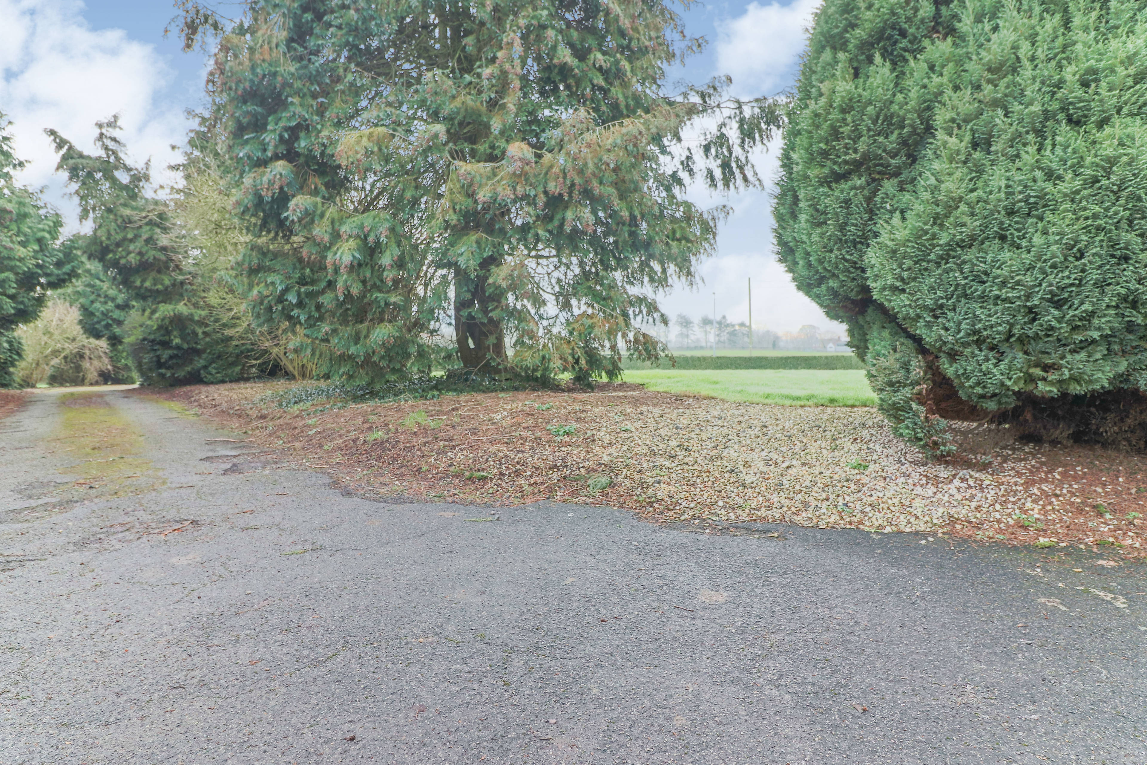 Driveway