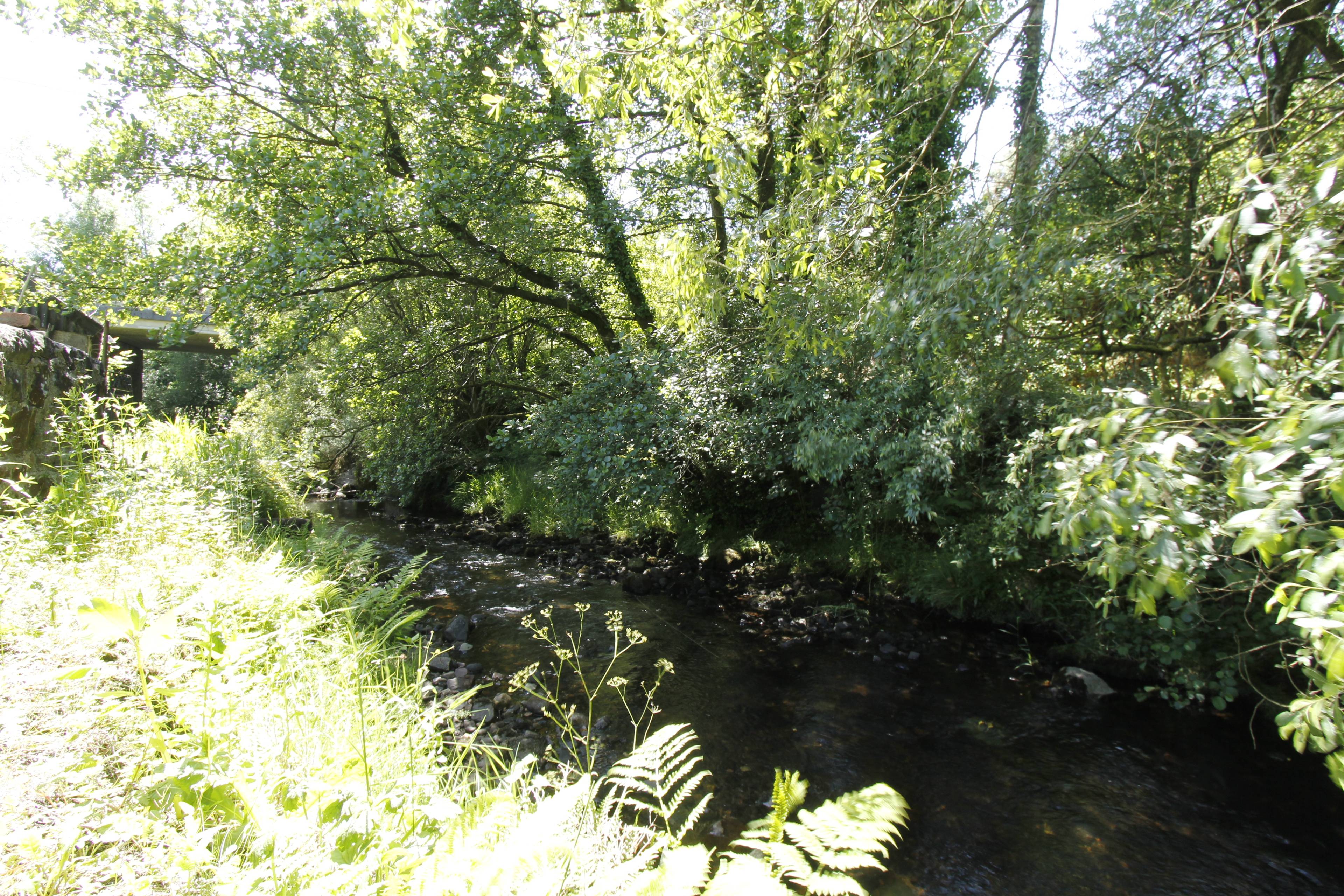 Nearby River