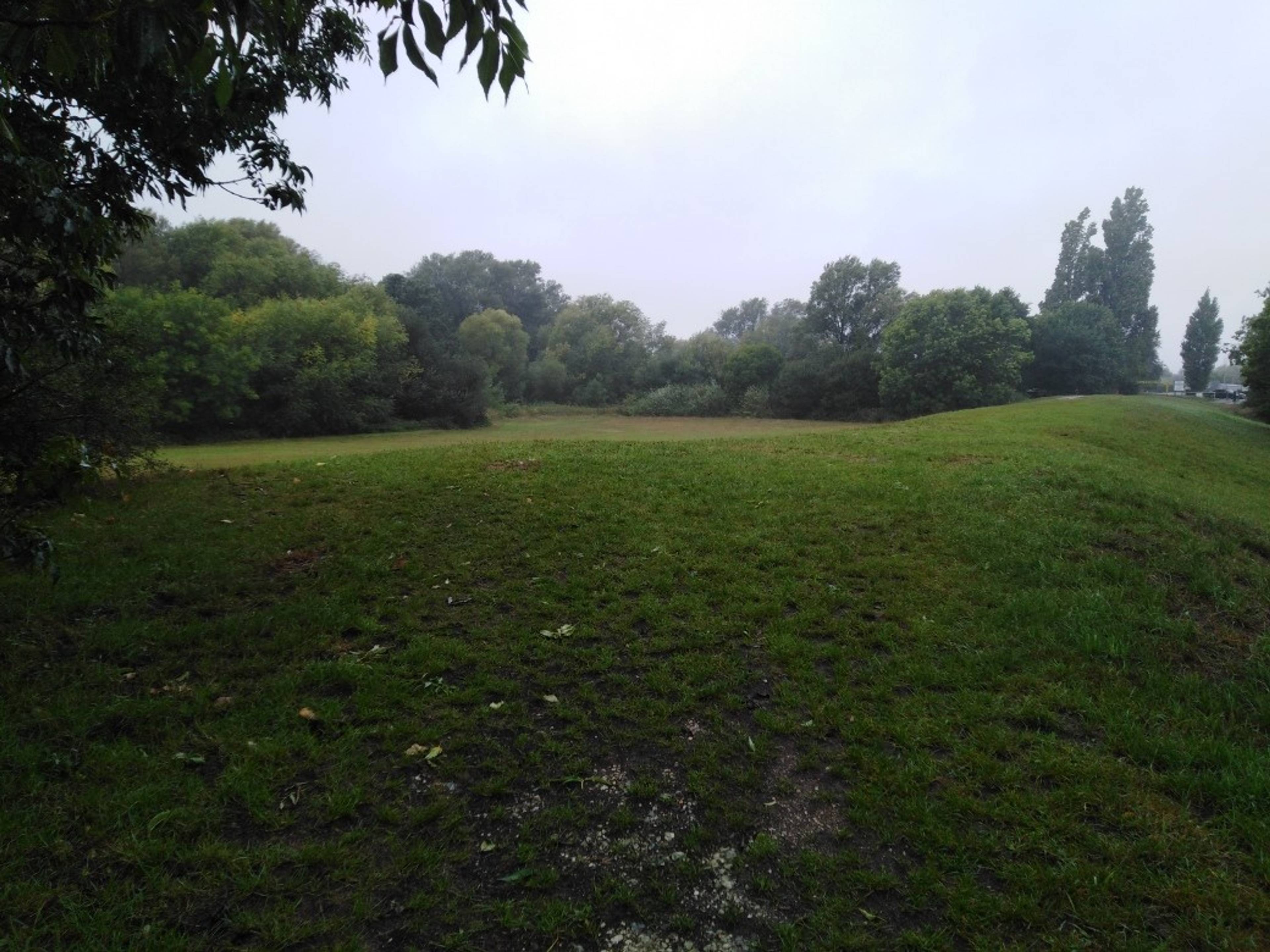 Field
