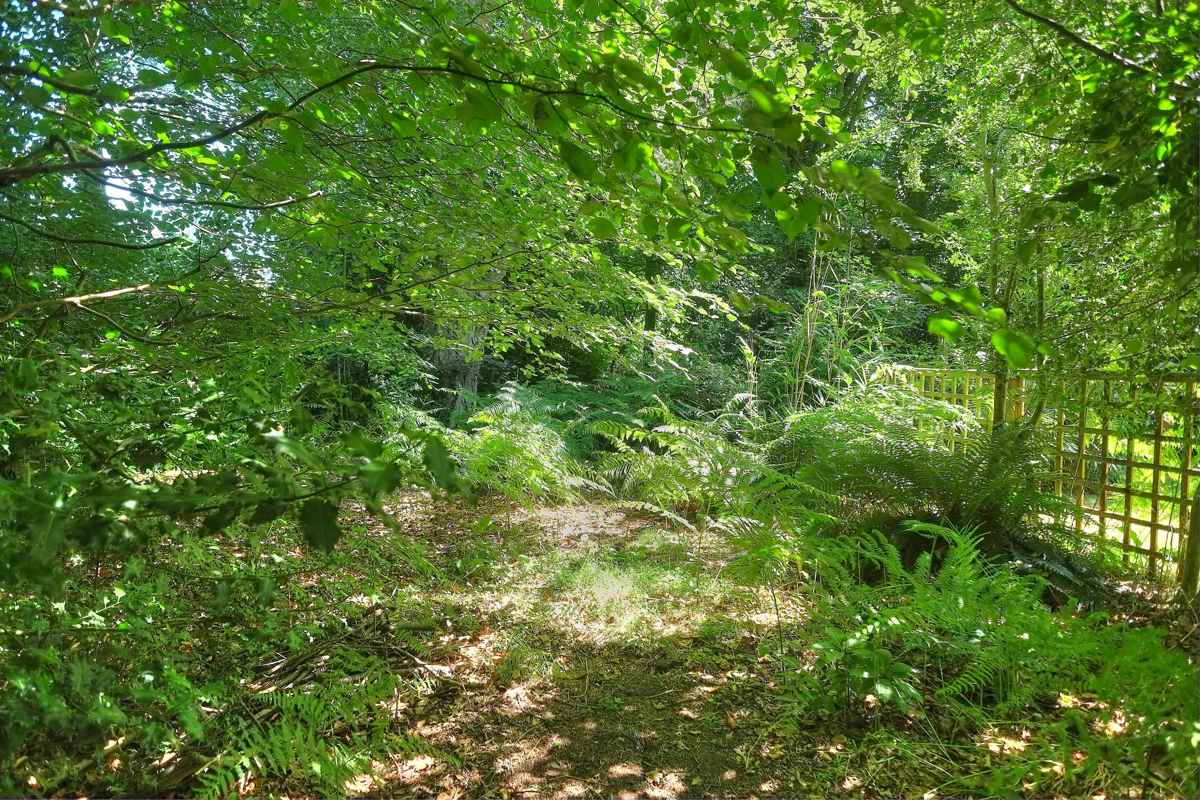 Woodland
