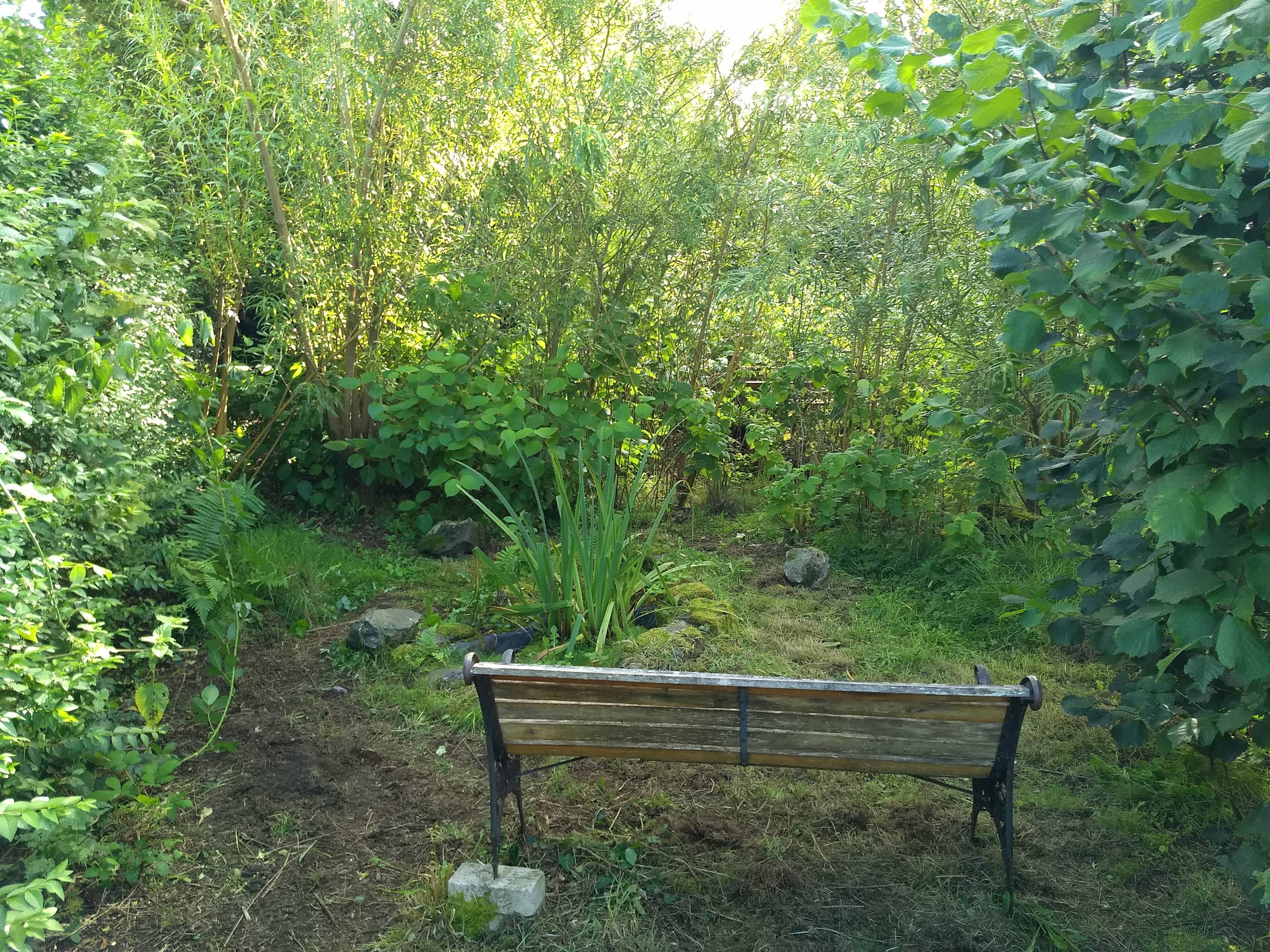 Pond