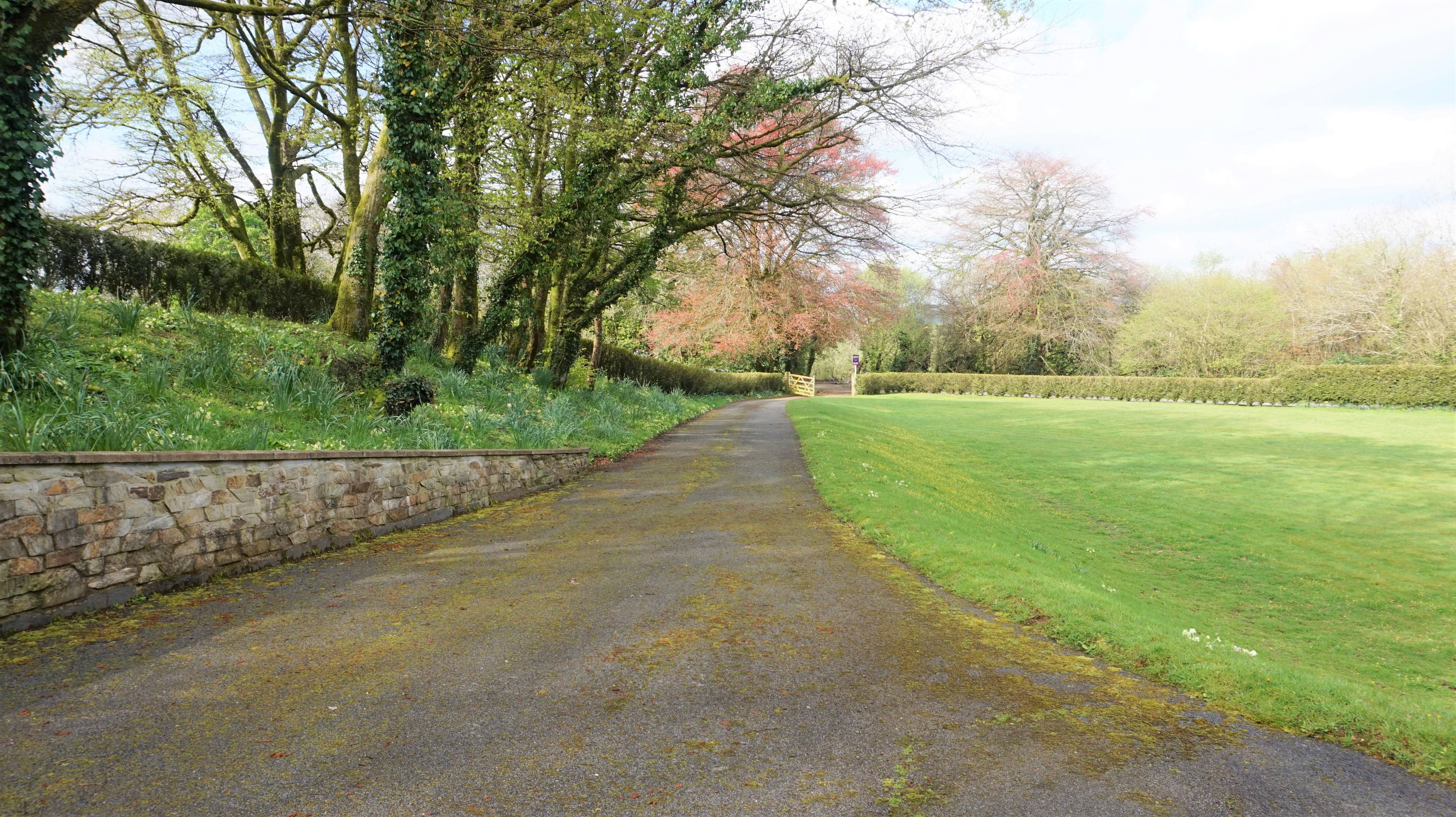 Gated Driveway