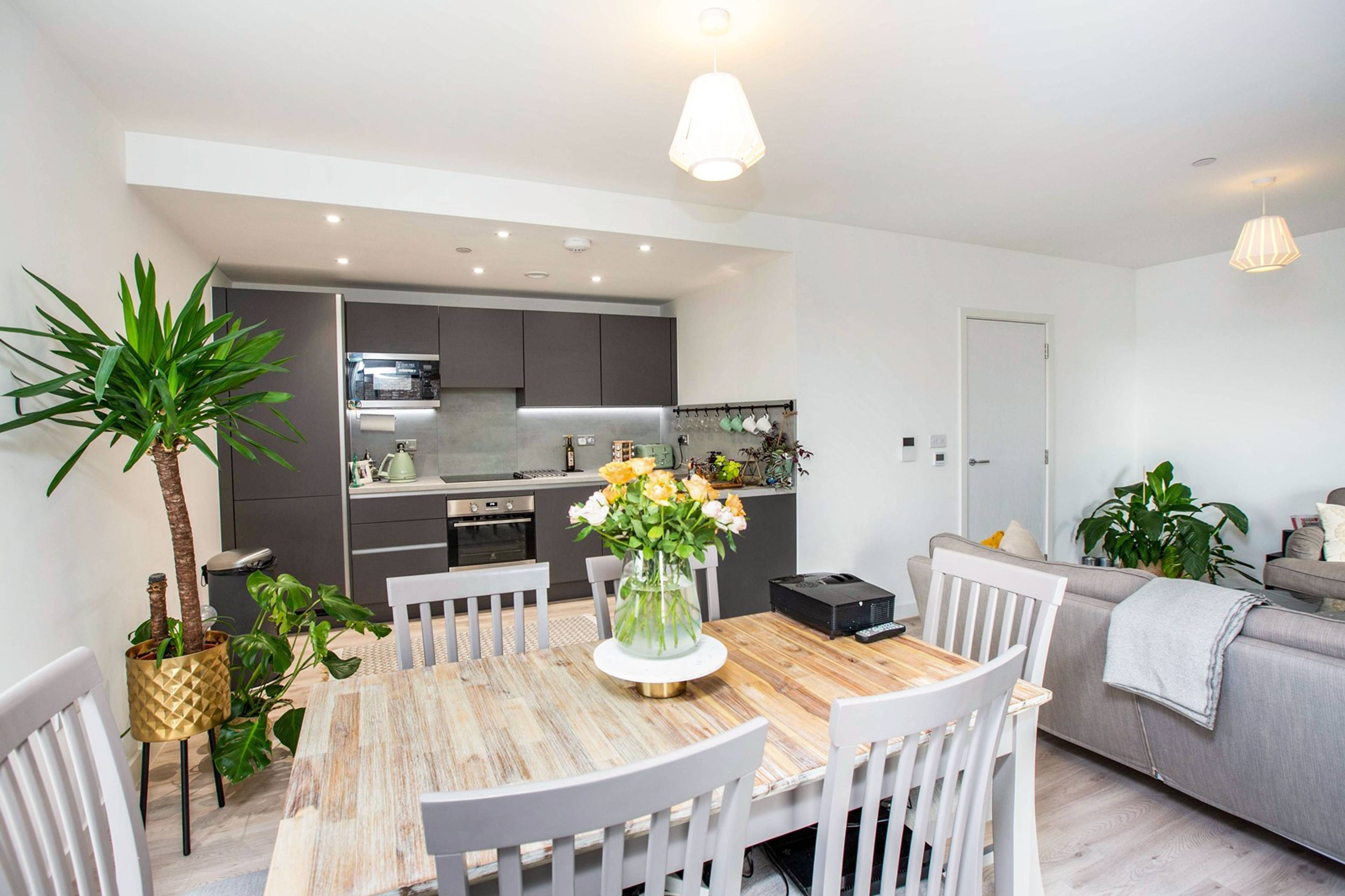 Lounge / Kitchen