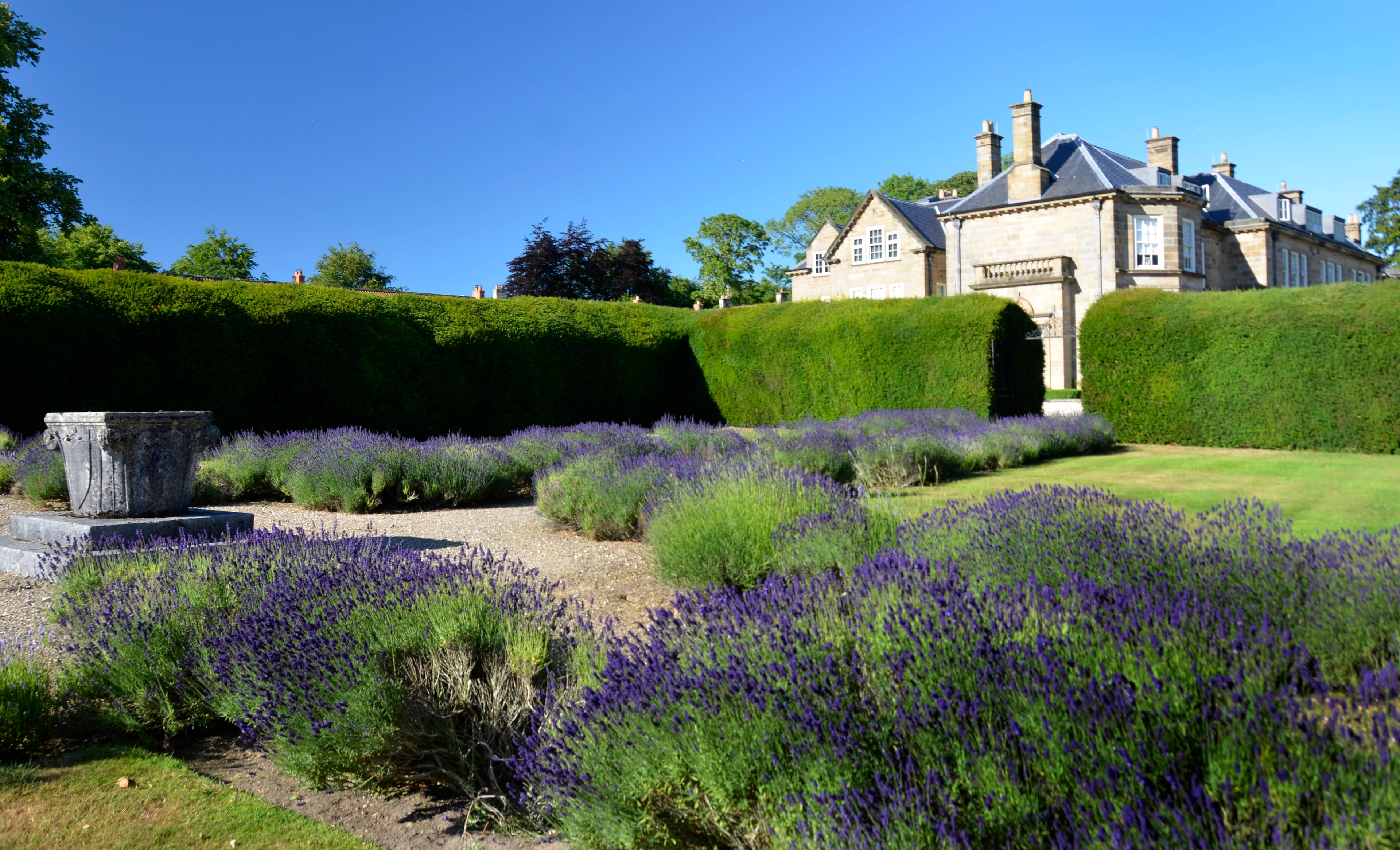 Communal Gardens