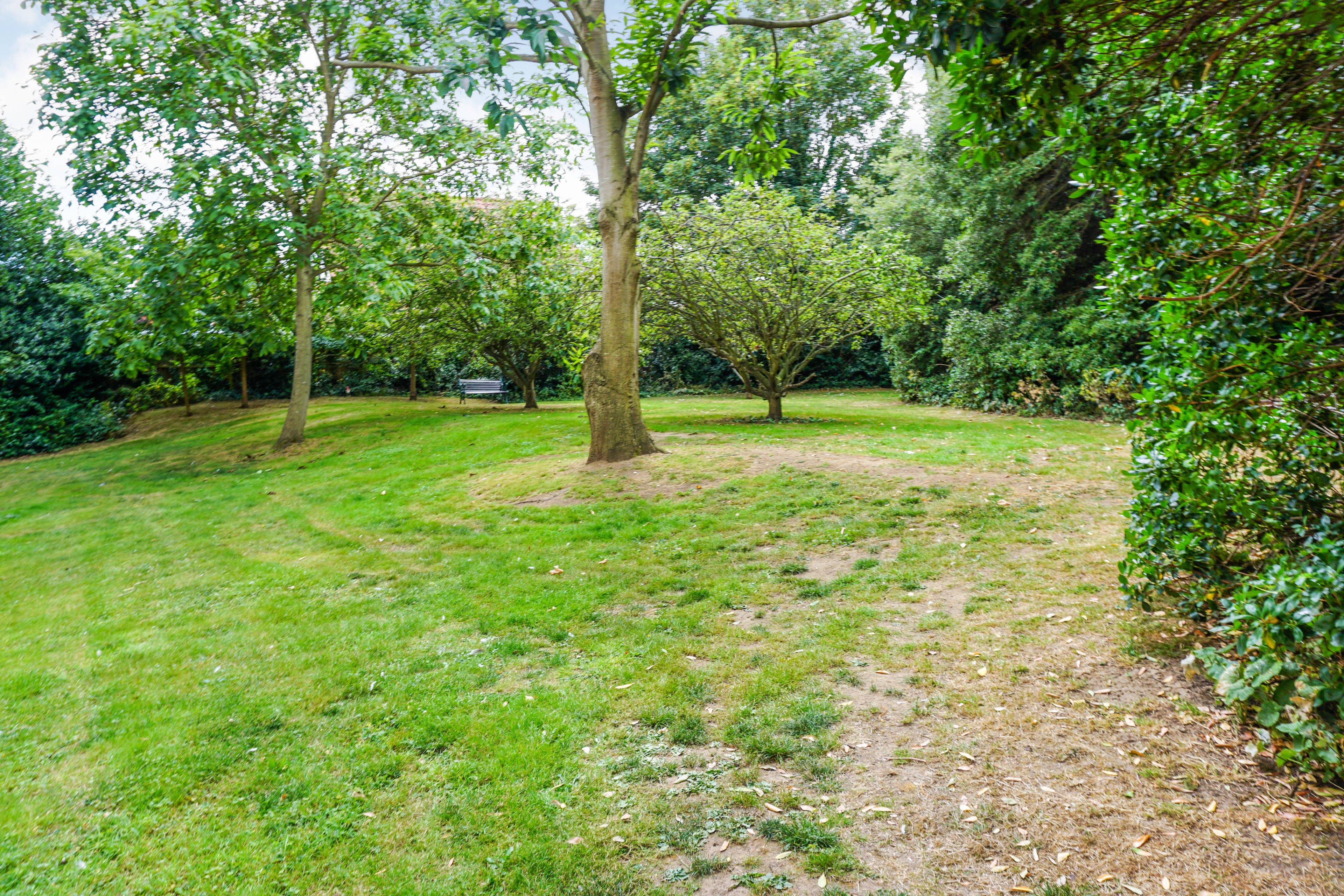 Communal Gardens