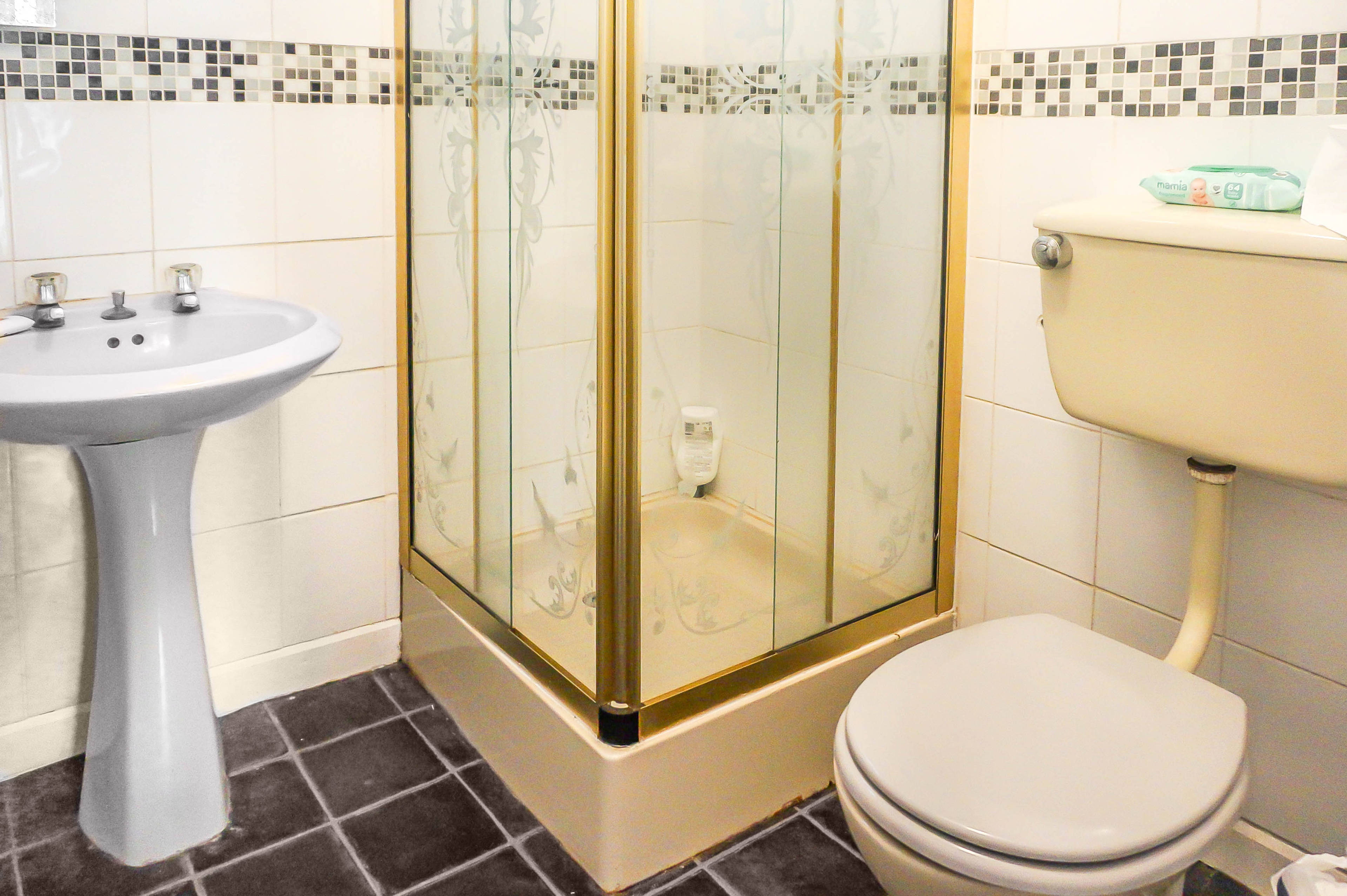 Downstairs Shower