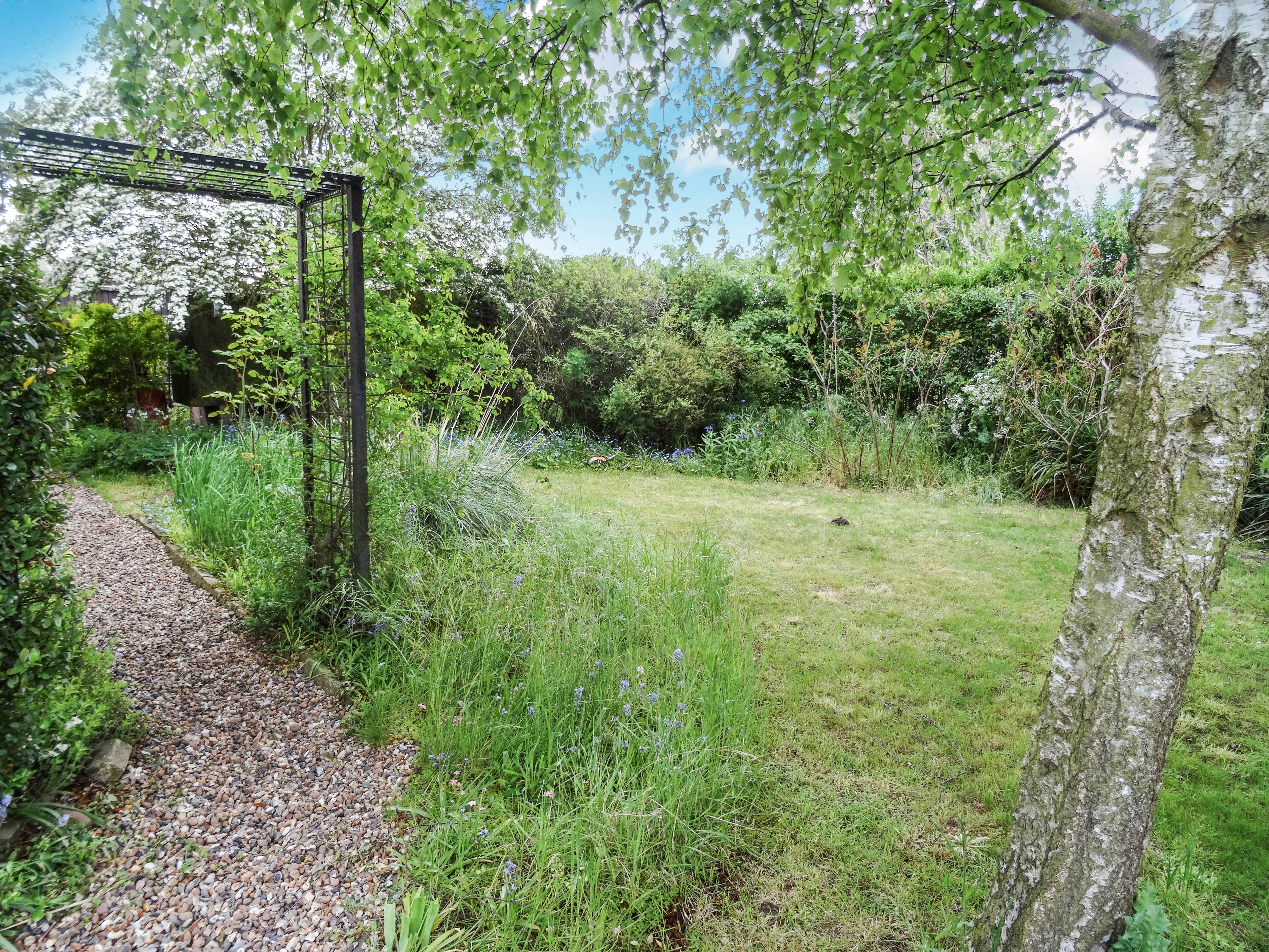 Side Garden