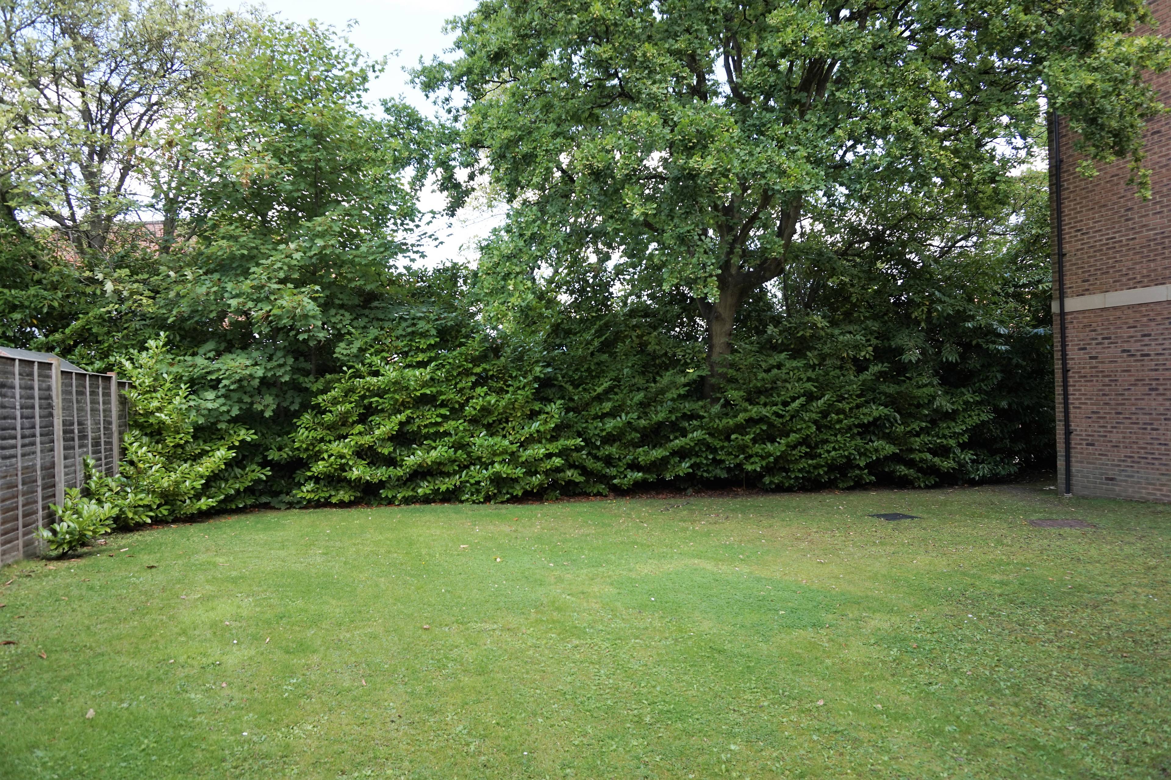 Communal Gardens