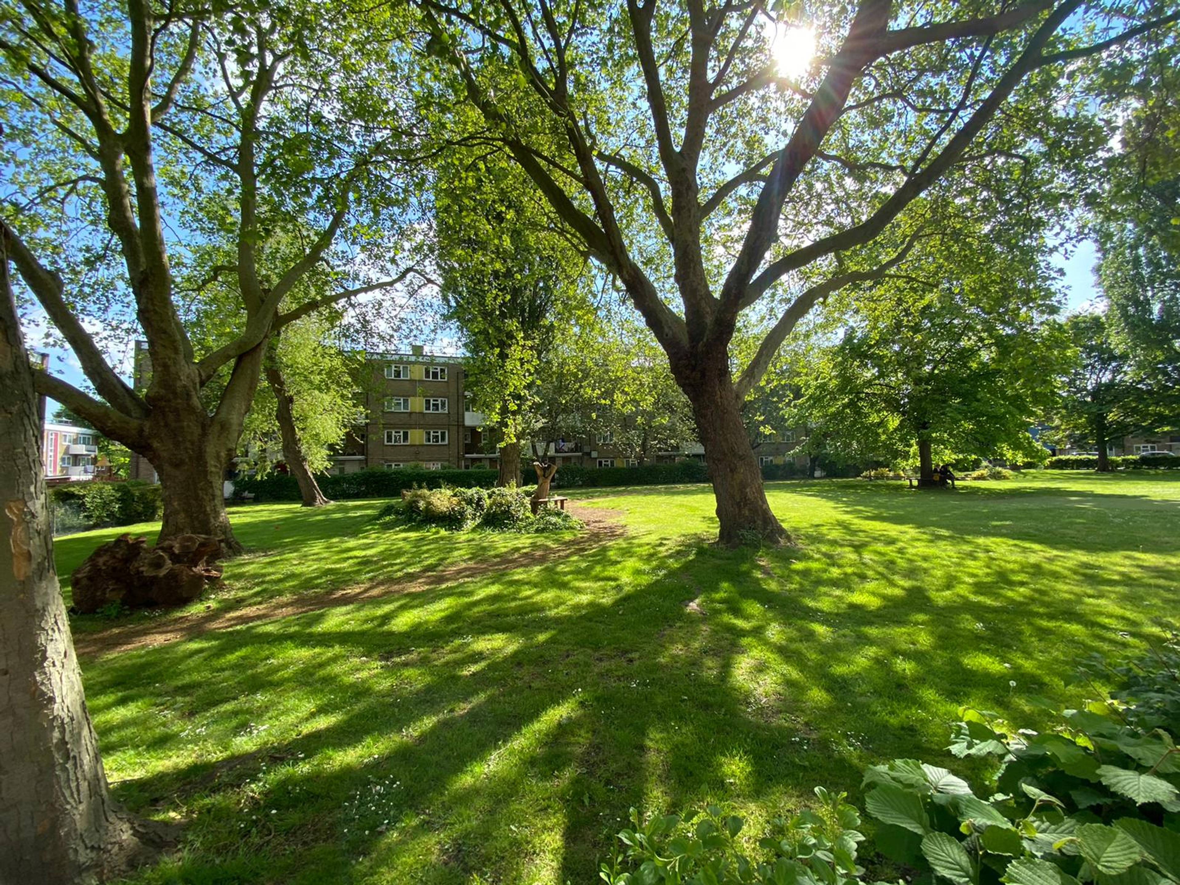 Communal Gardens