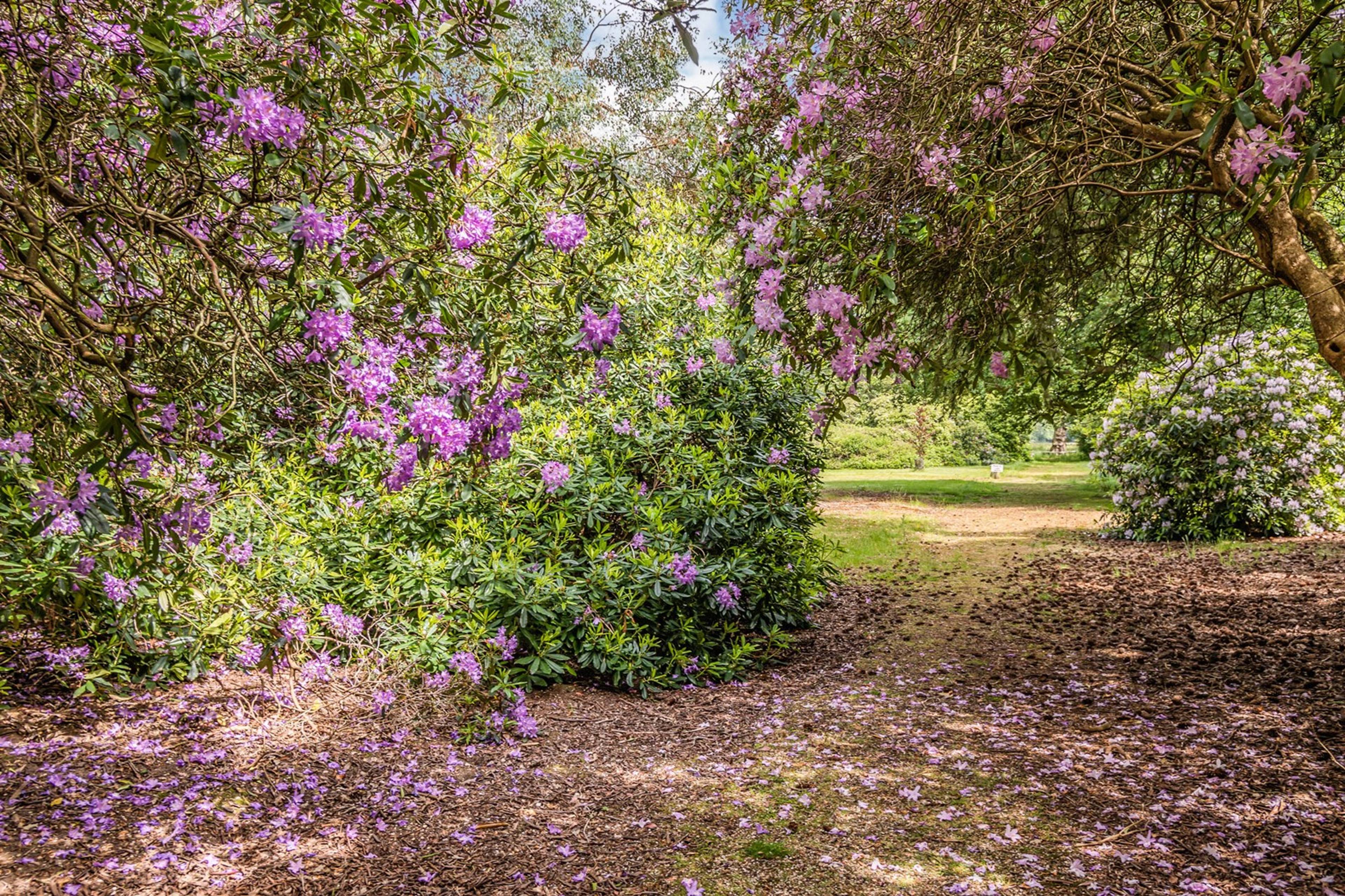 Grounds