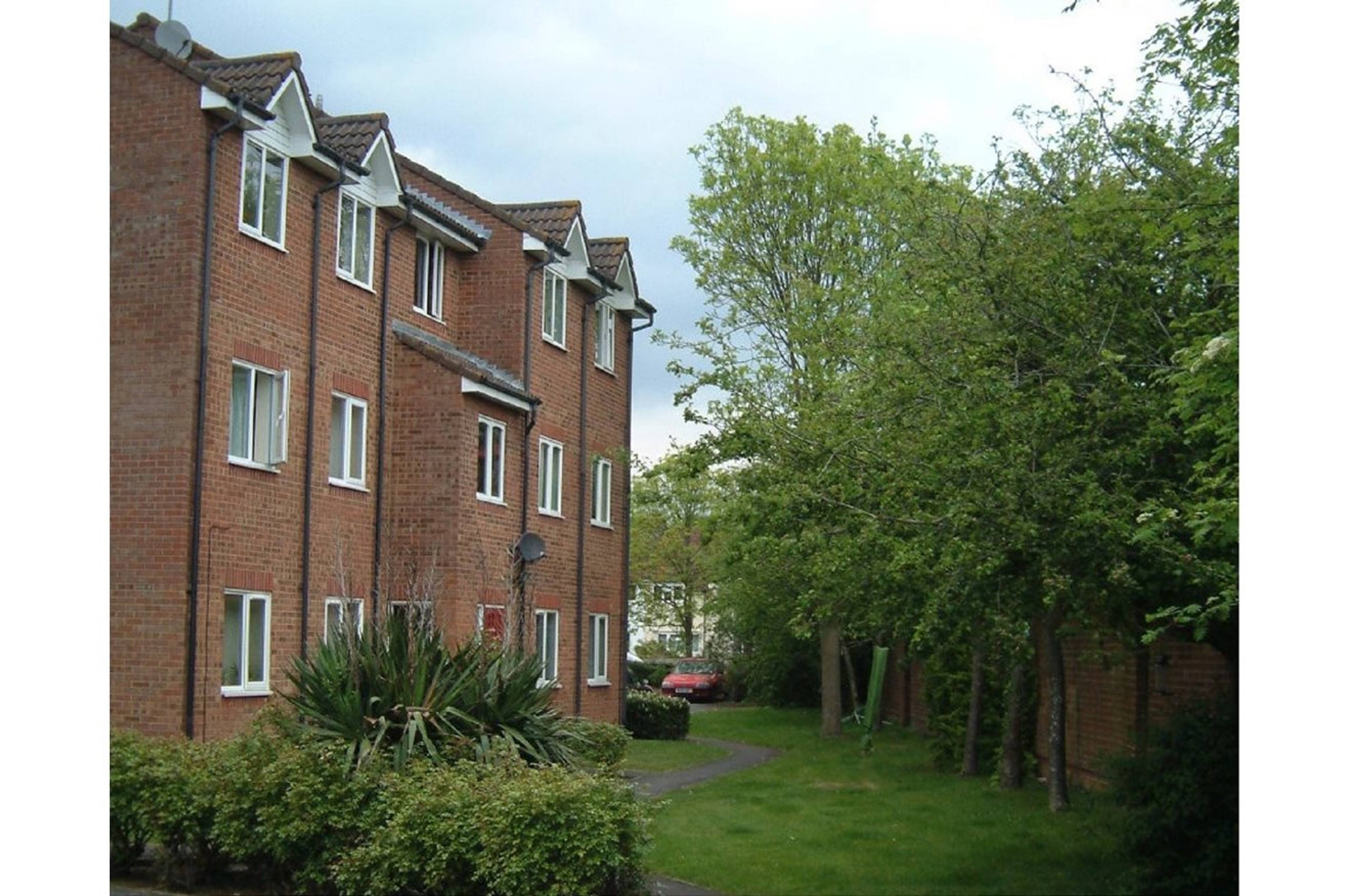 The Property