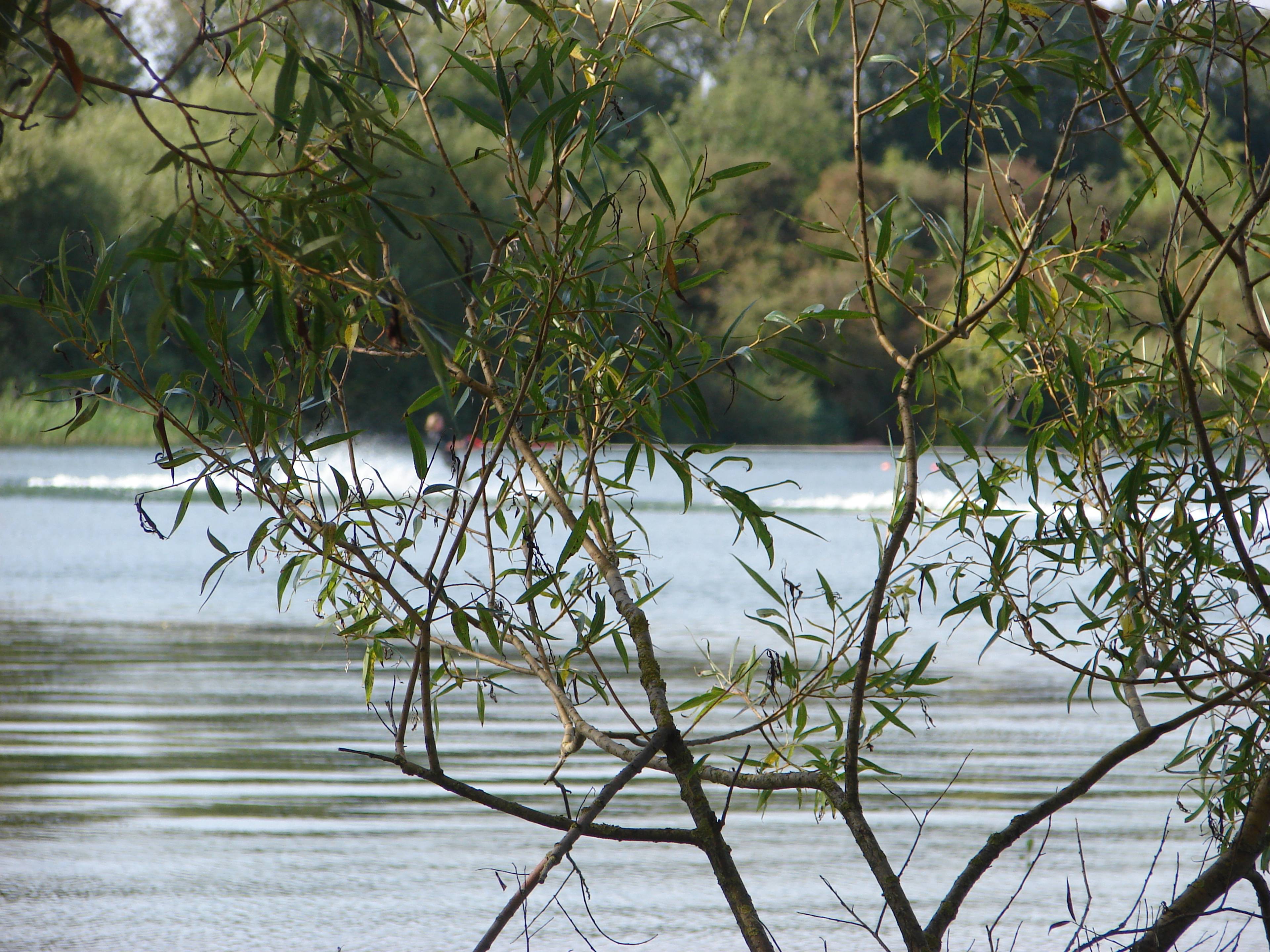 Local Area