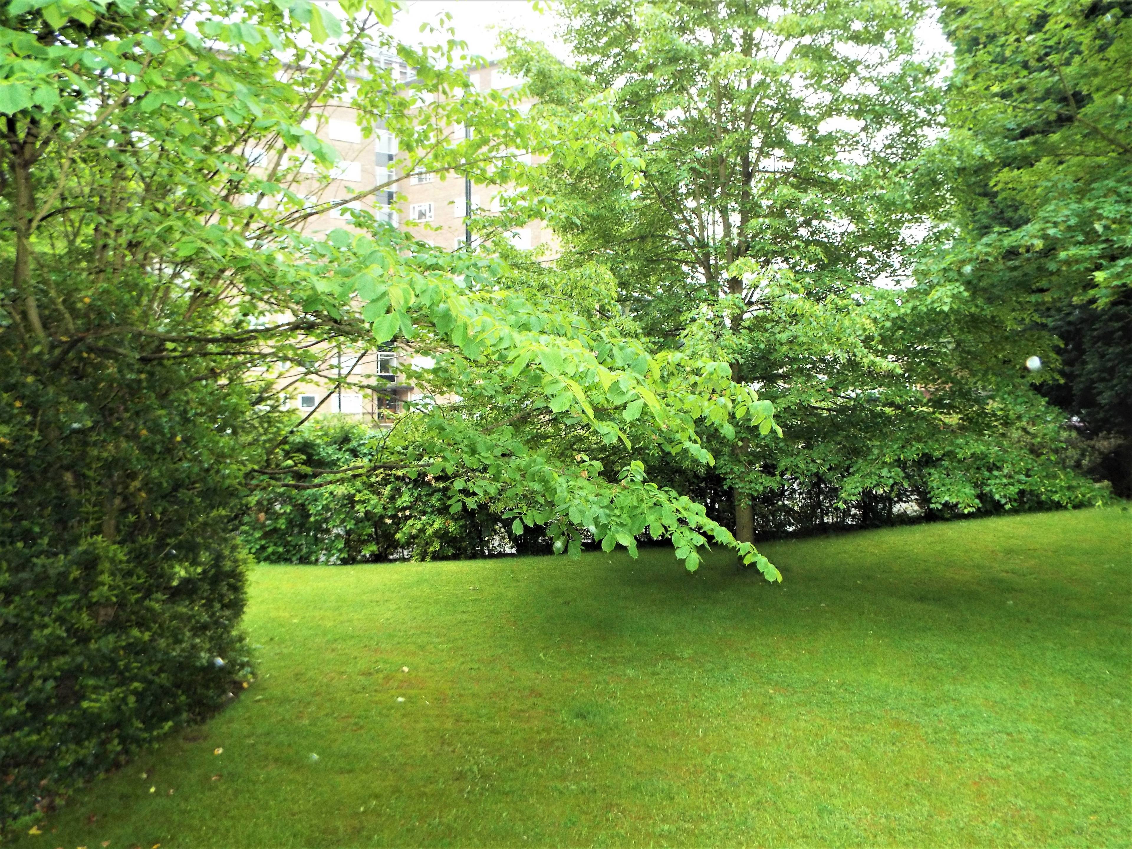 Communal Gardens