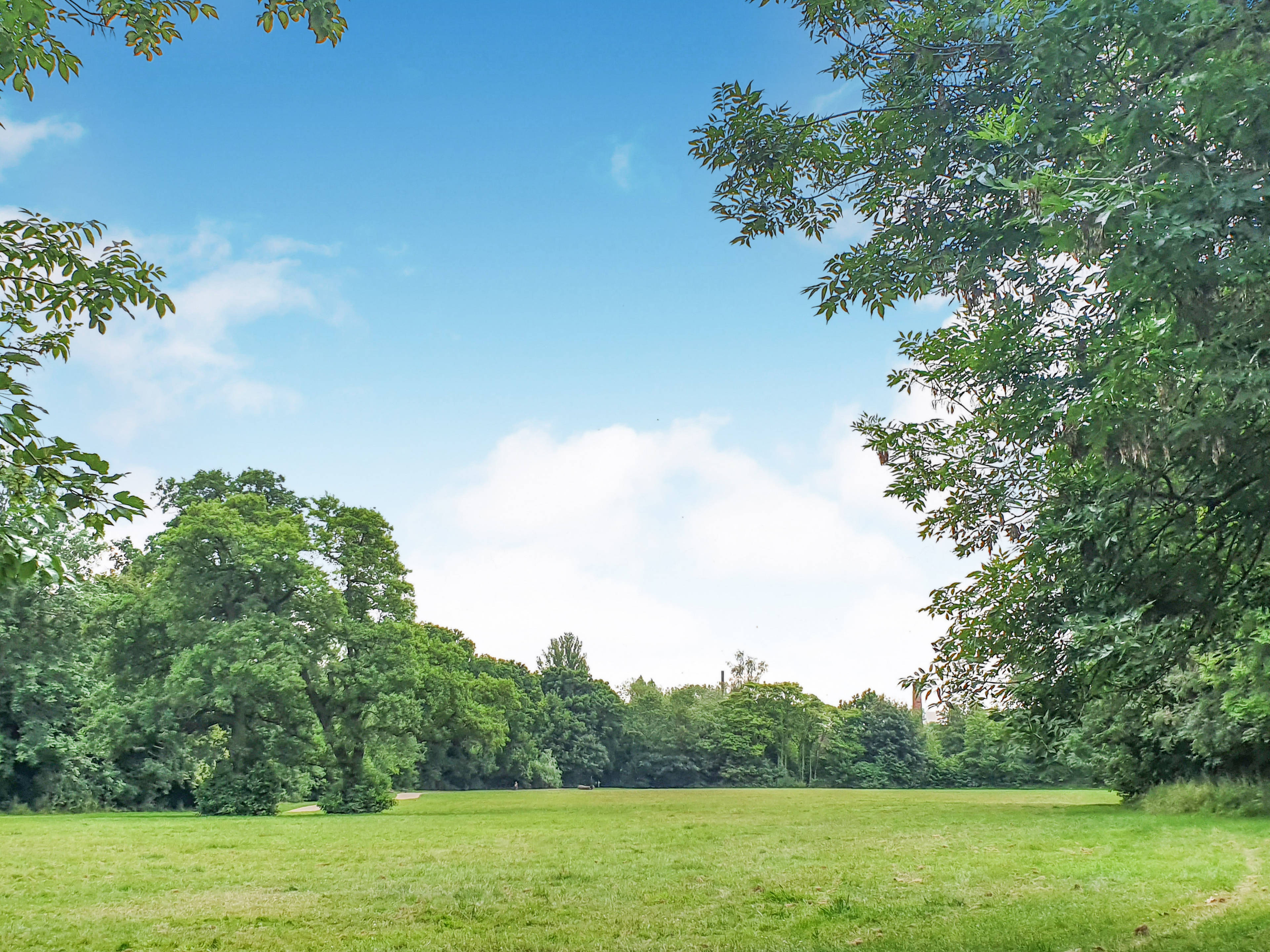 Nearby Park
