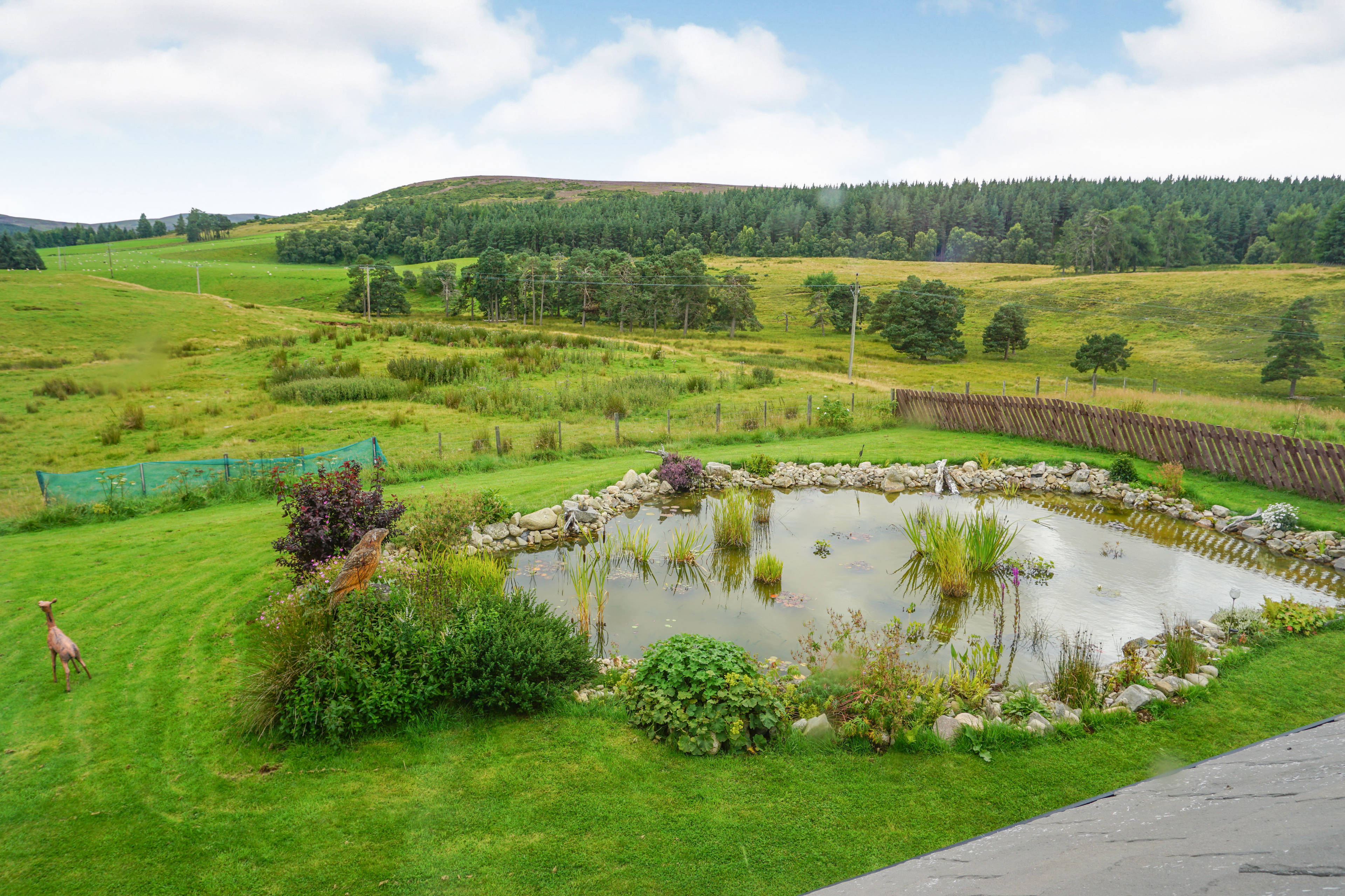 Pond