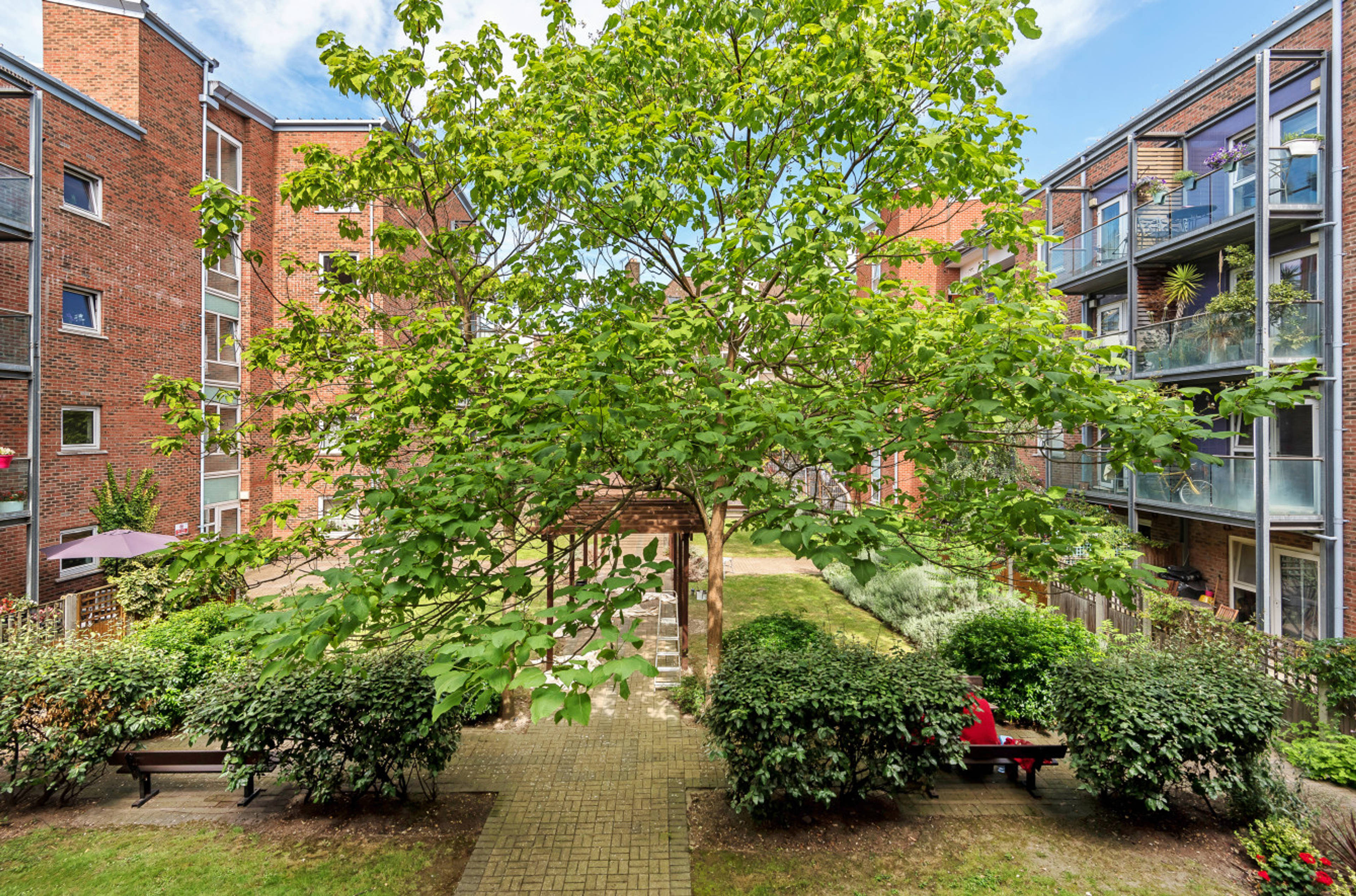 Communal Gardens