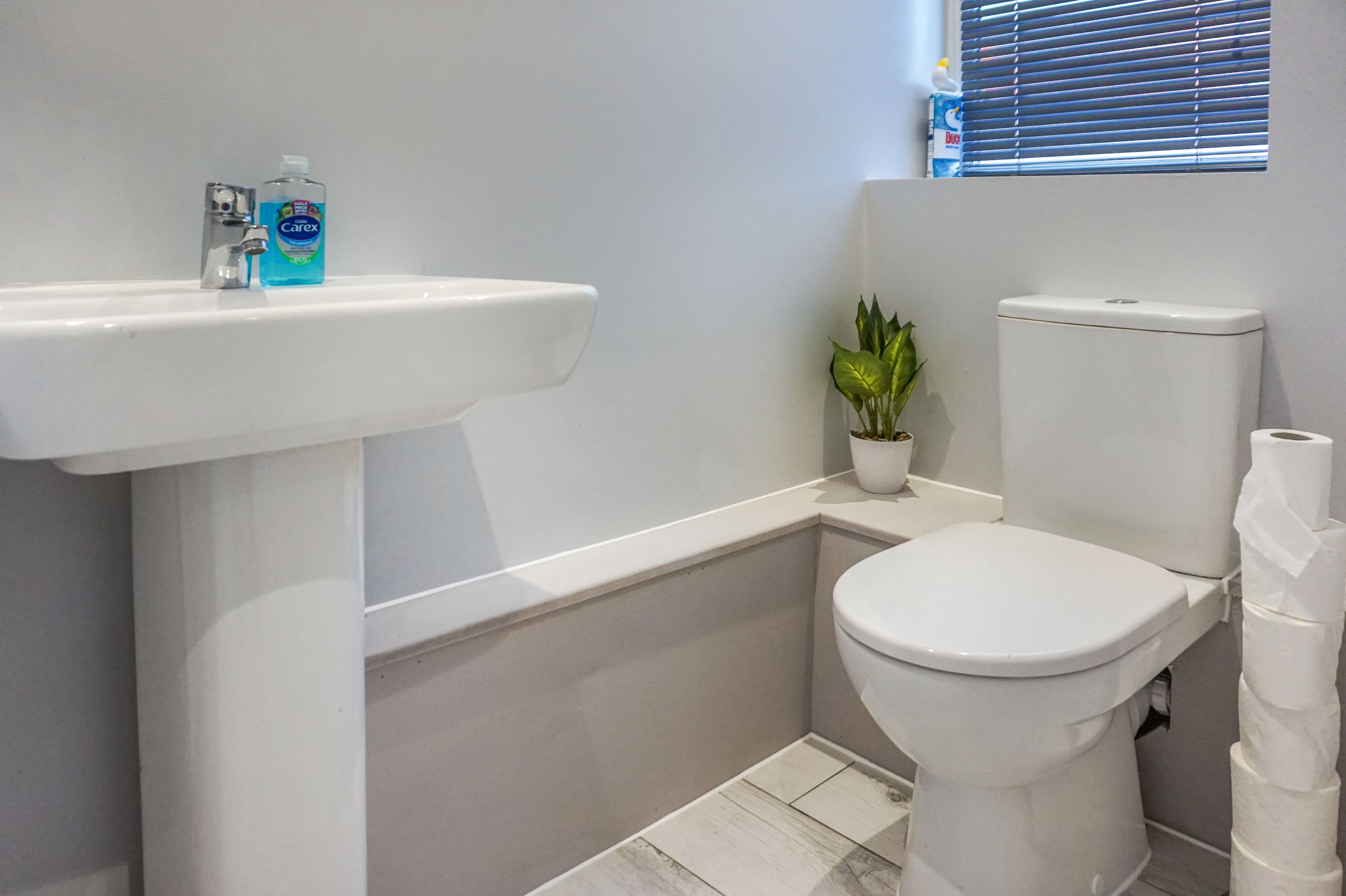 Downstairs Cloakroom