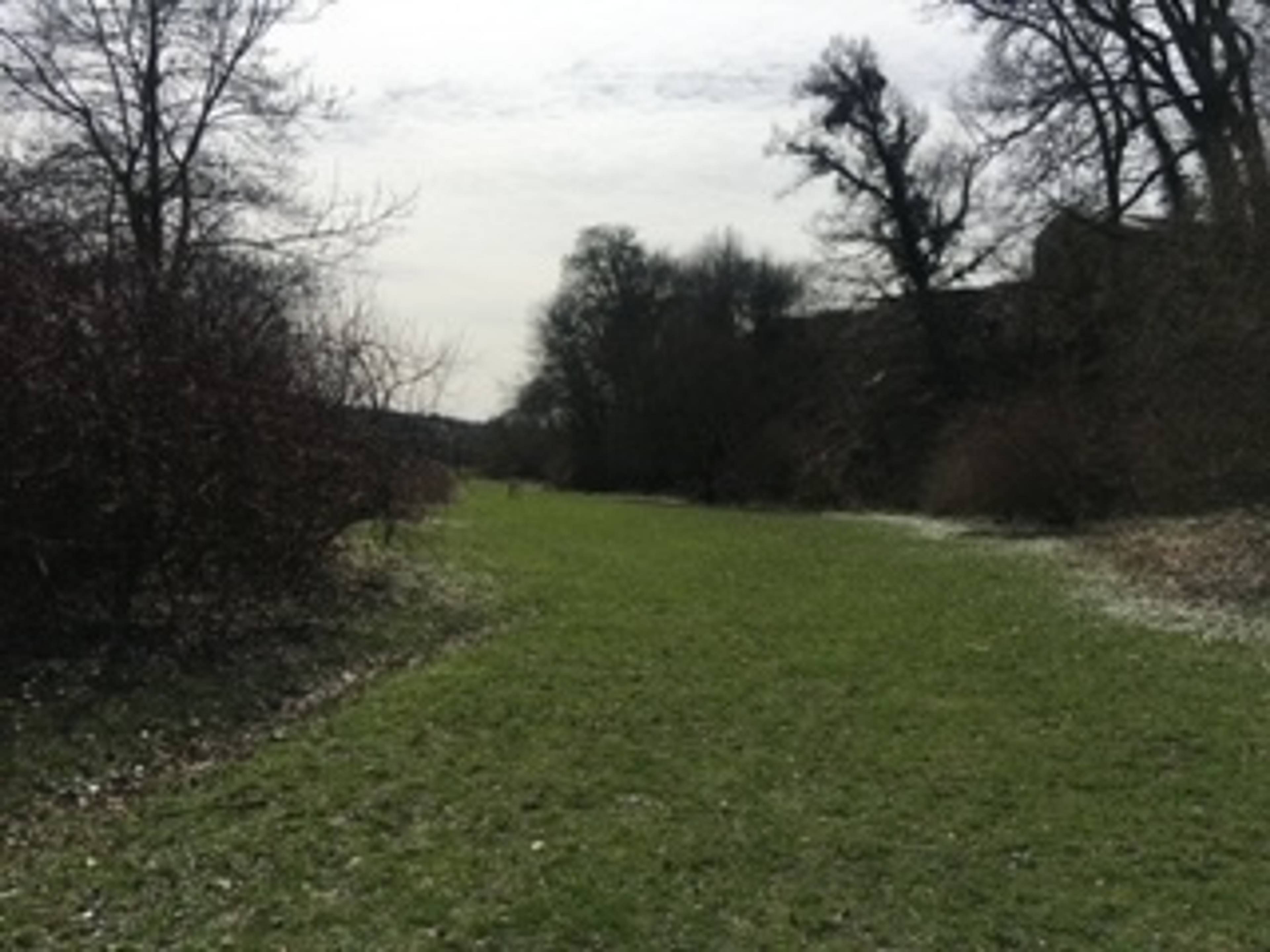 Field