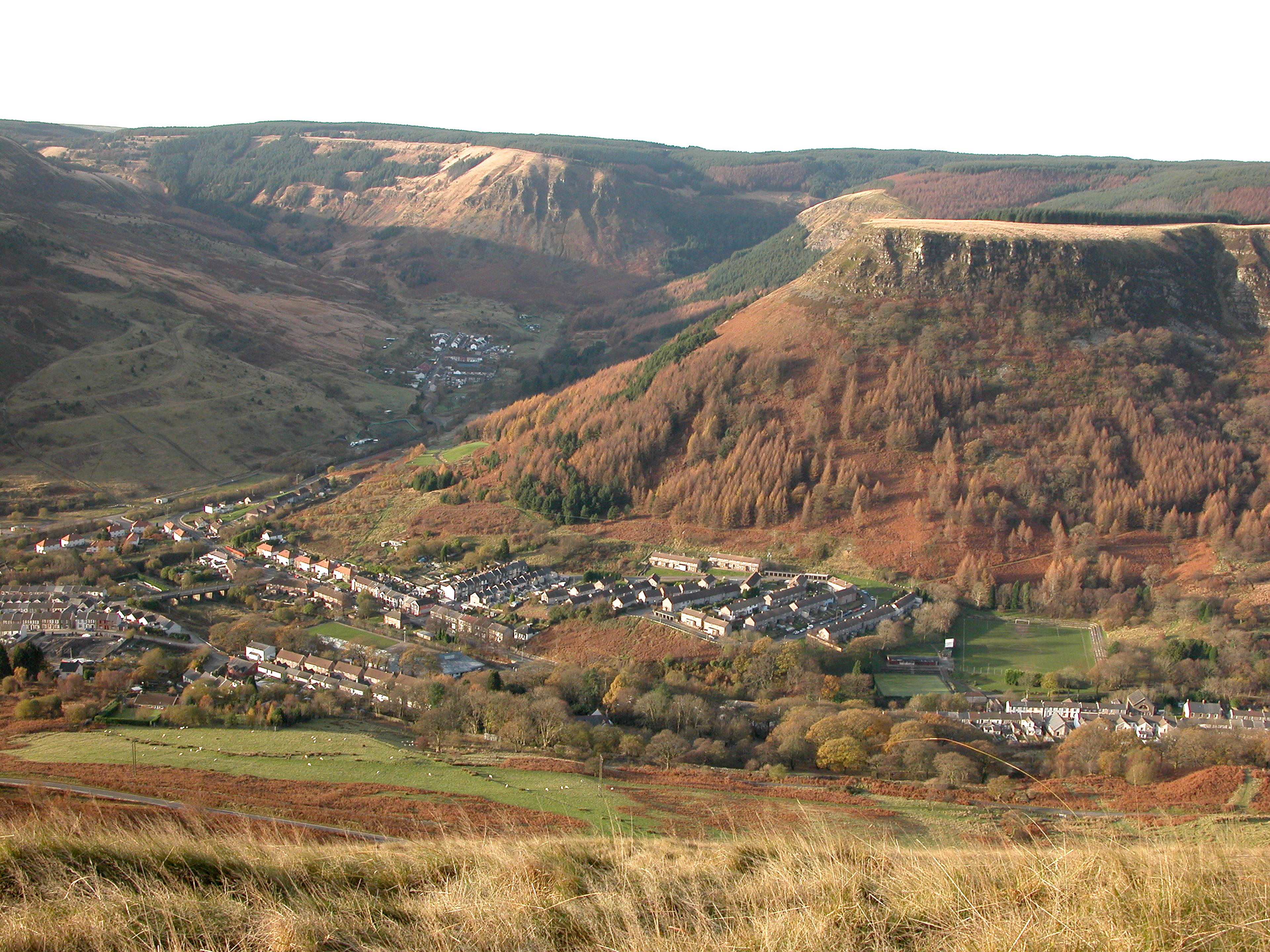 Surrounding Area