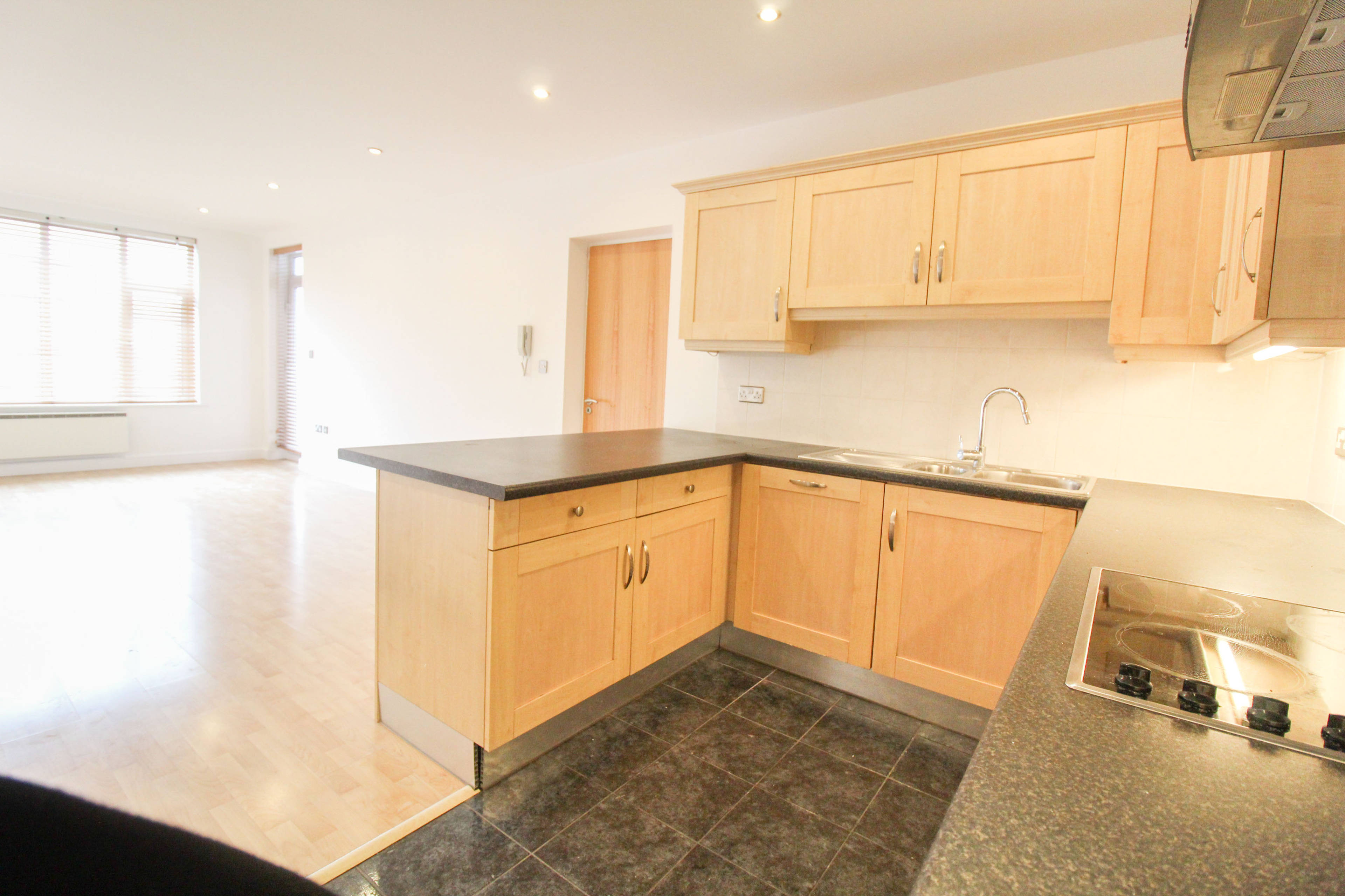 Lounge / Kitchen