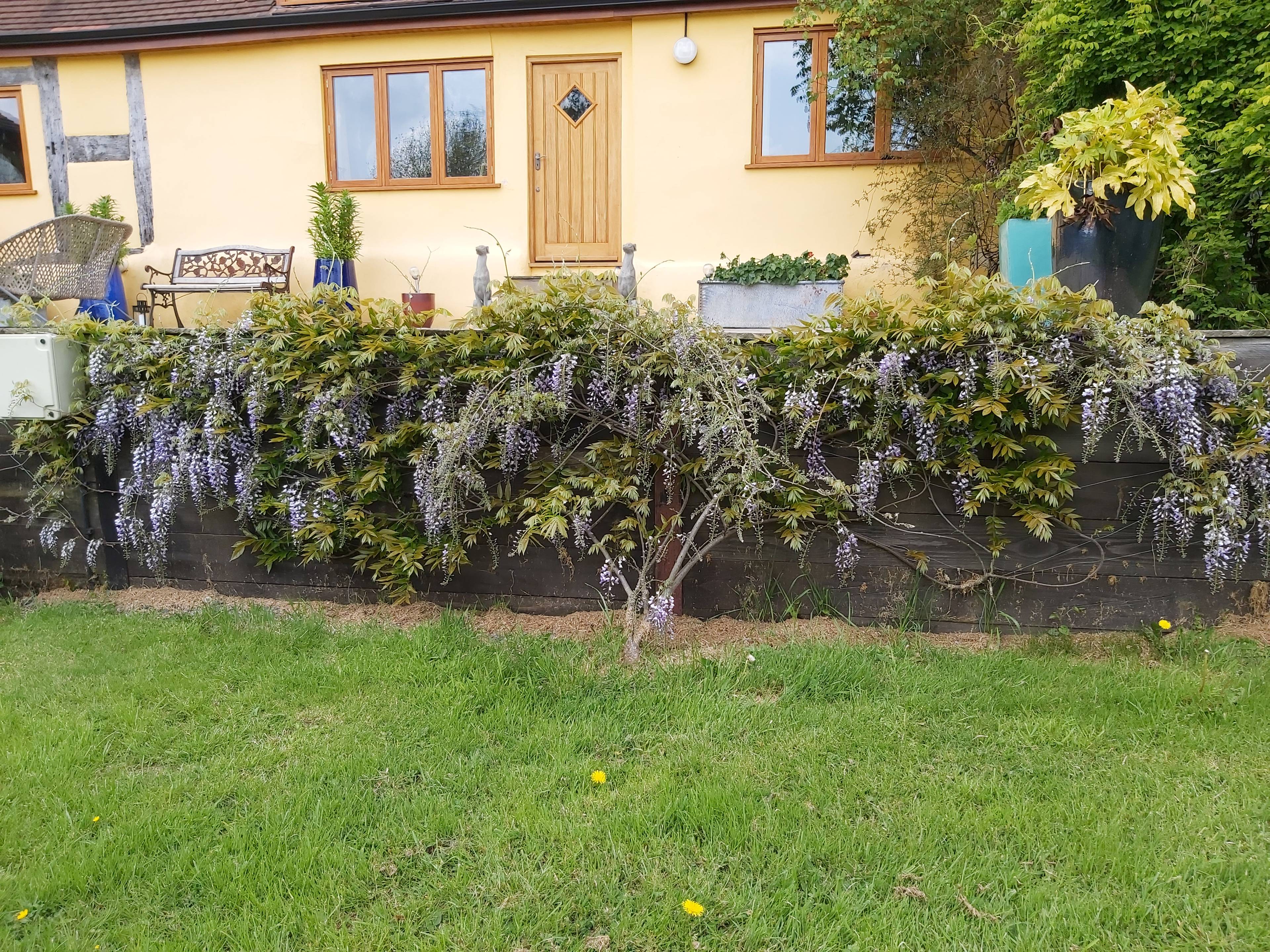 Gardens