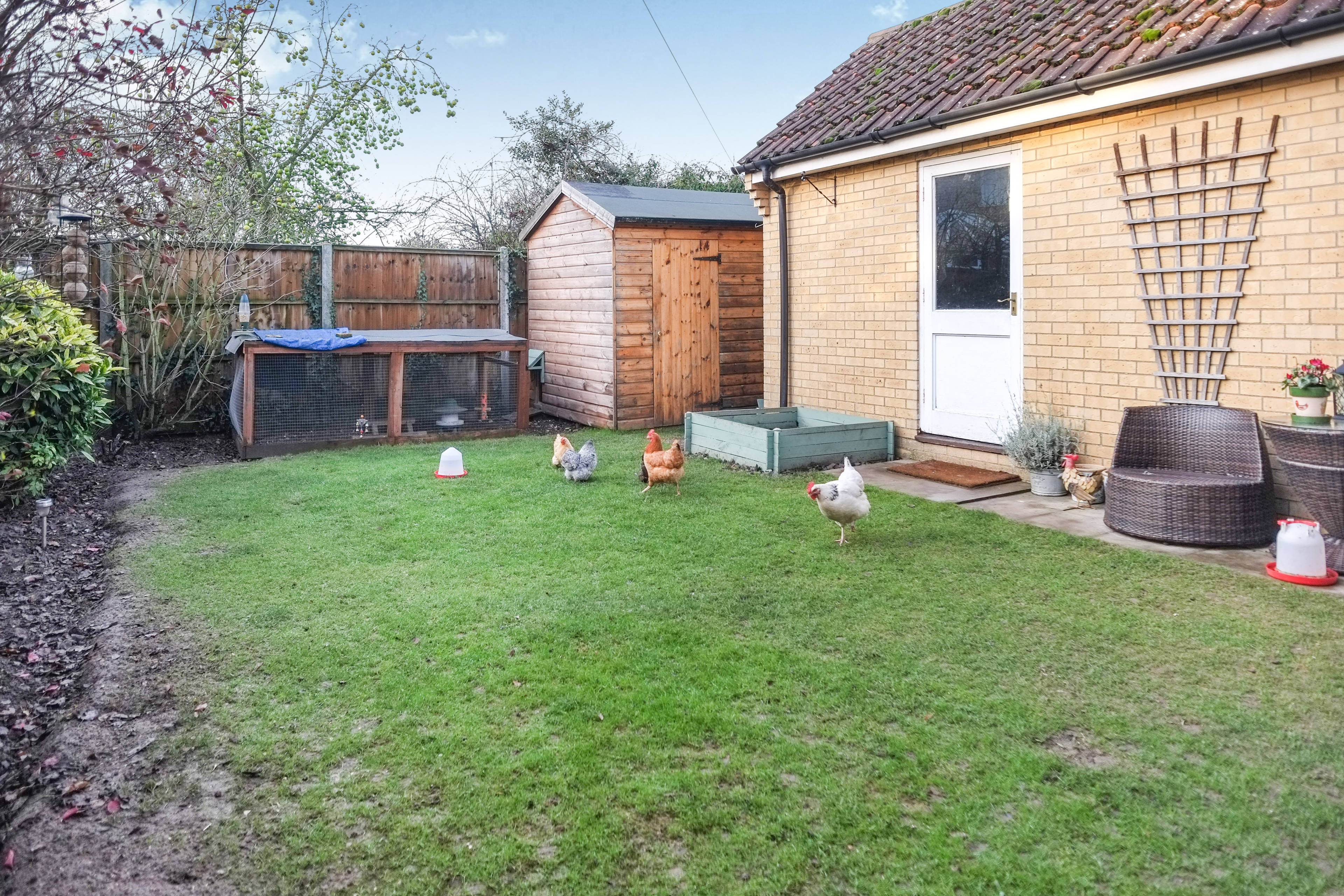 Garden